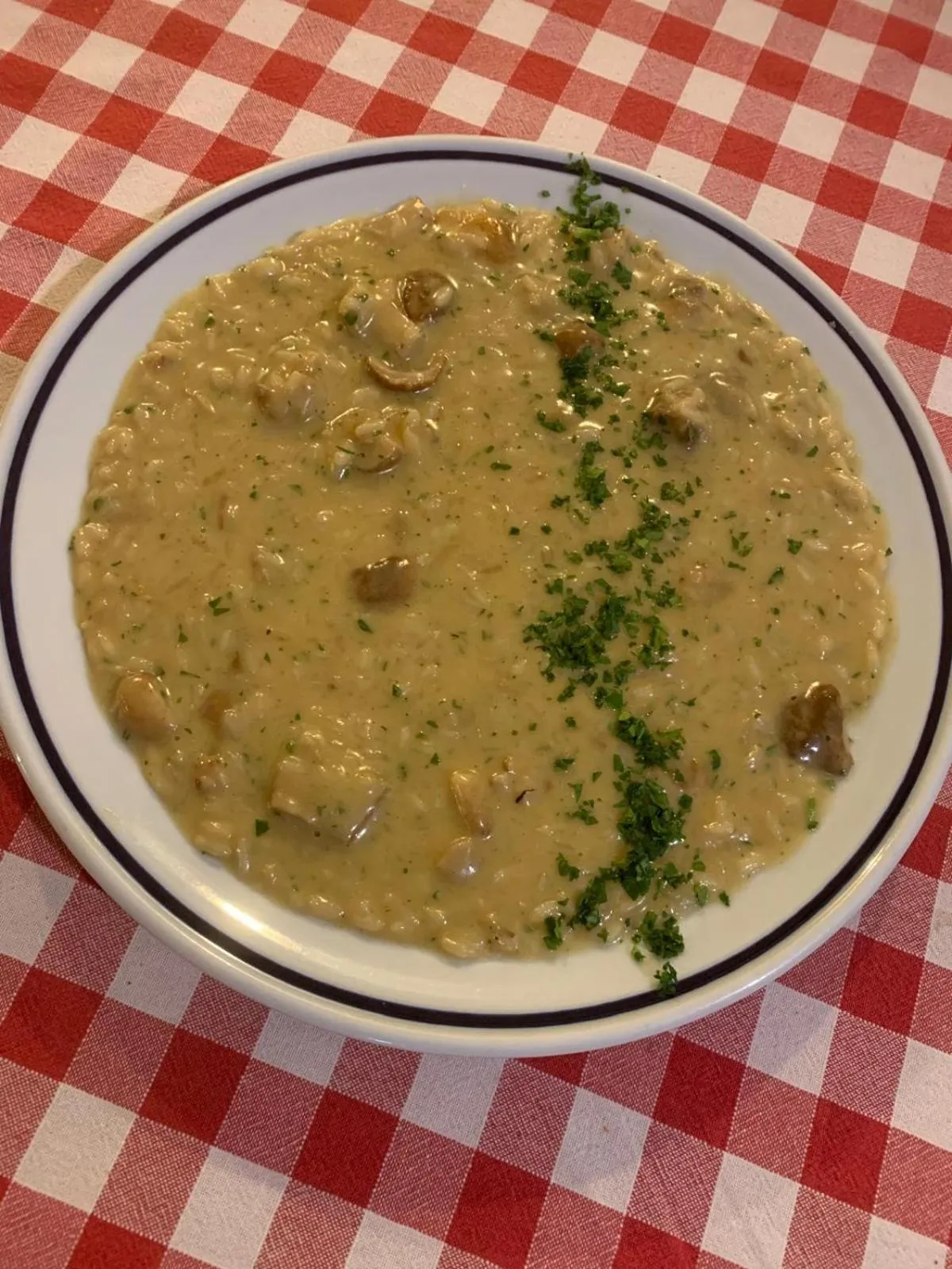 Restaurant/places to eat in Hotel Rocco