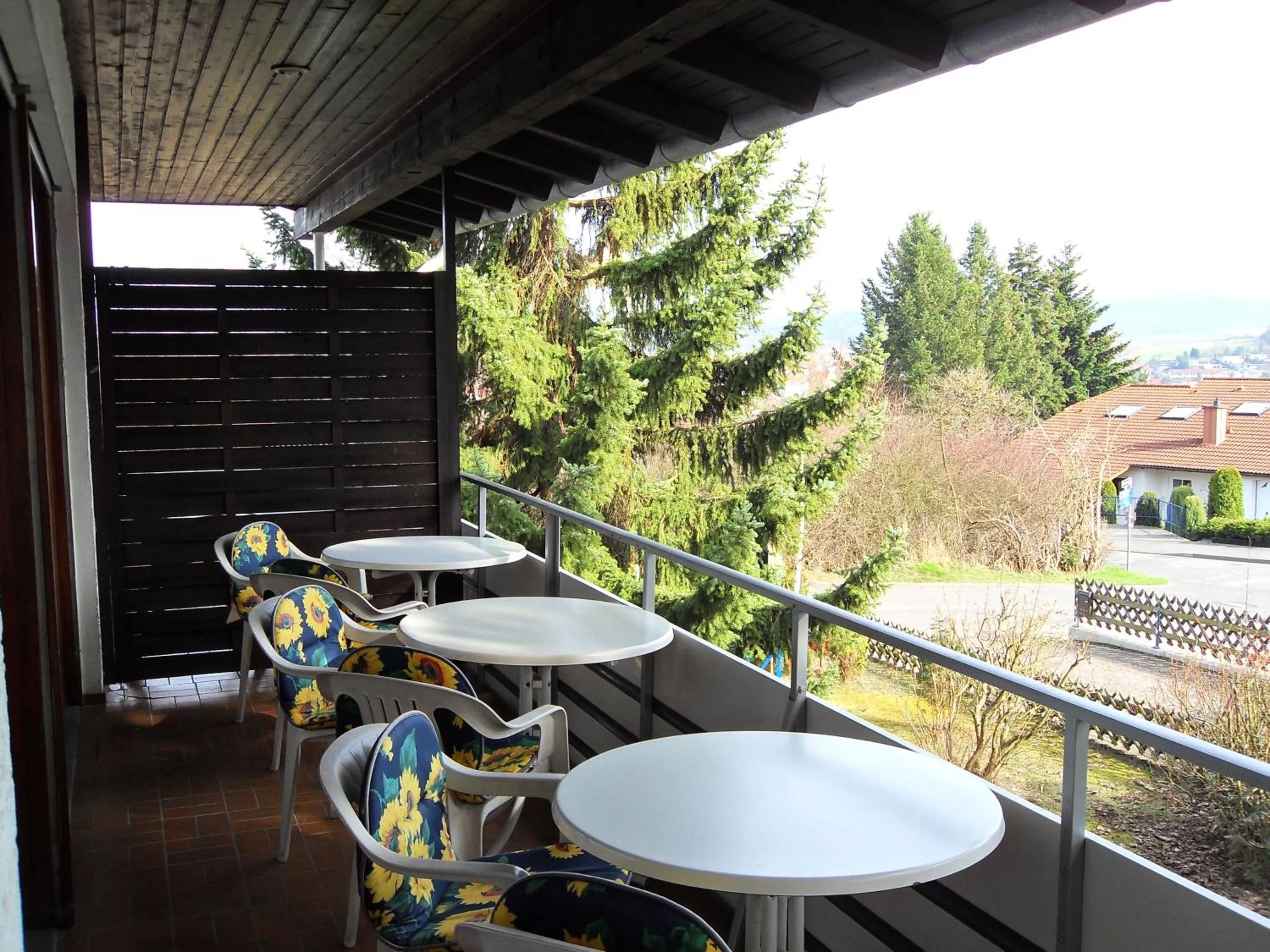 Day in Hotel Del Sol