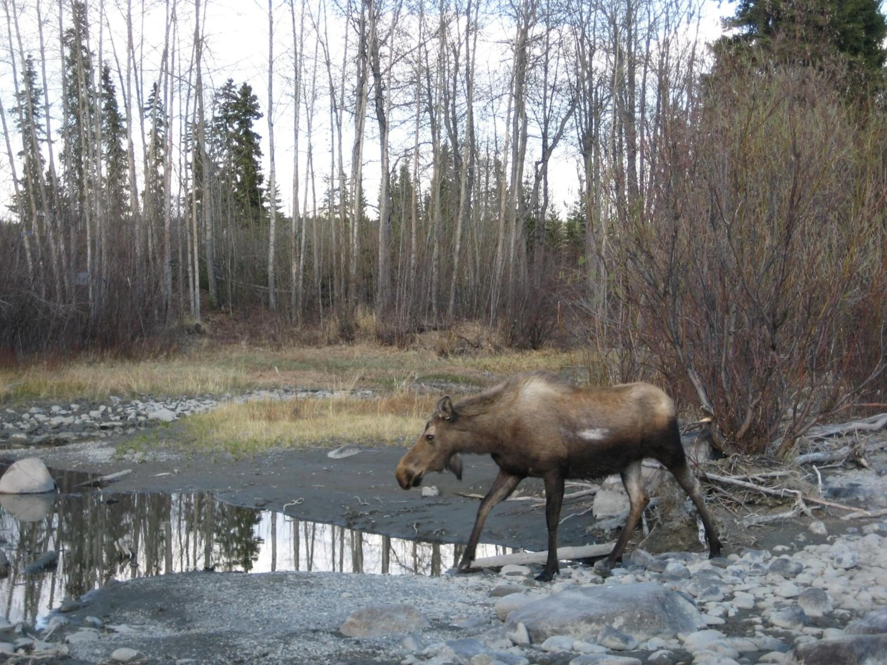 View (from property/room) in Nicolai's Mine Camp