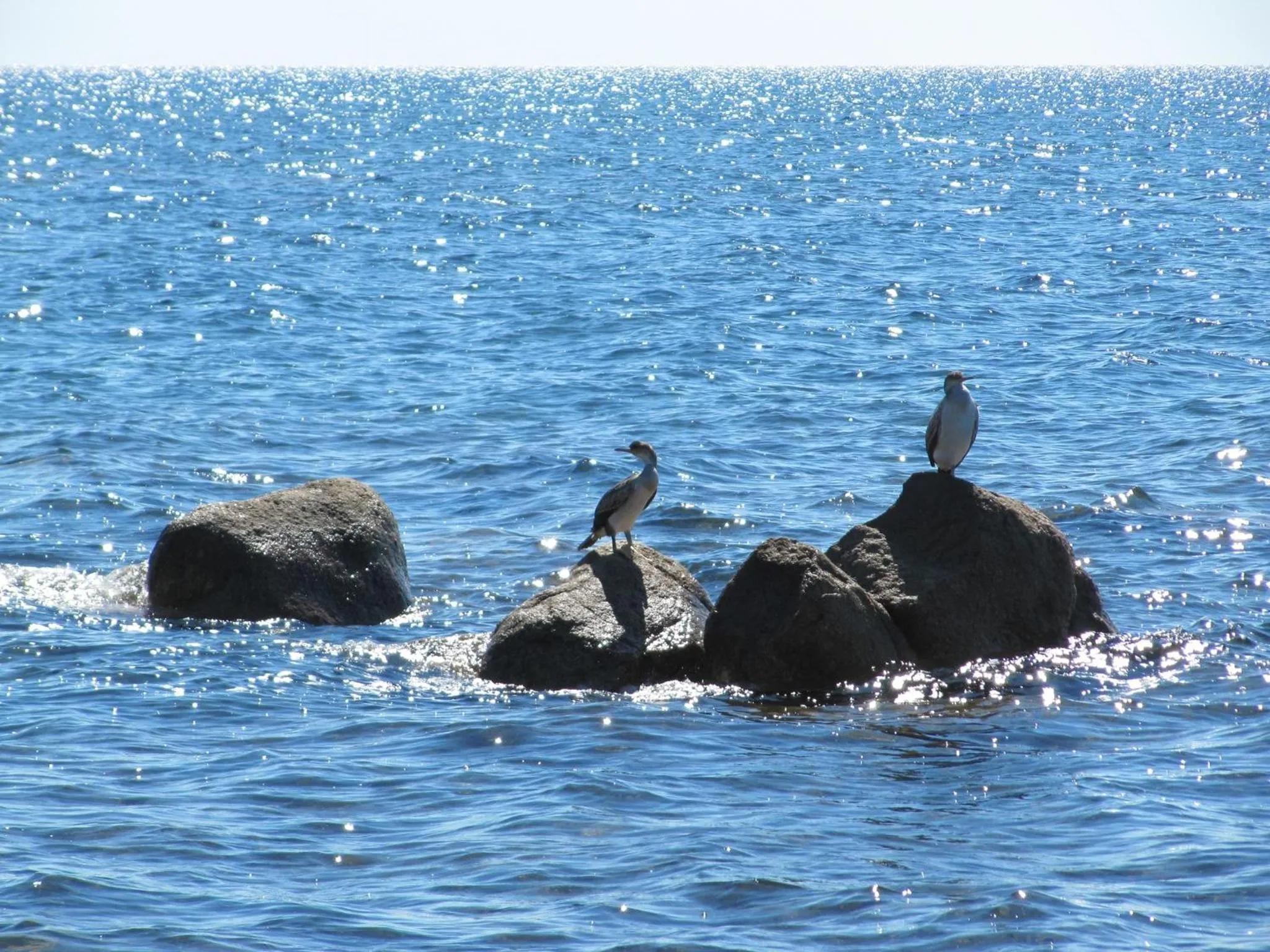 Other in Hotel Costa dei Fiori