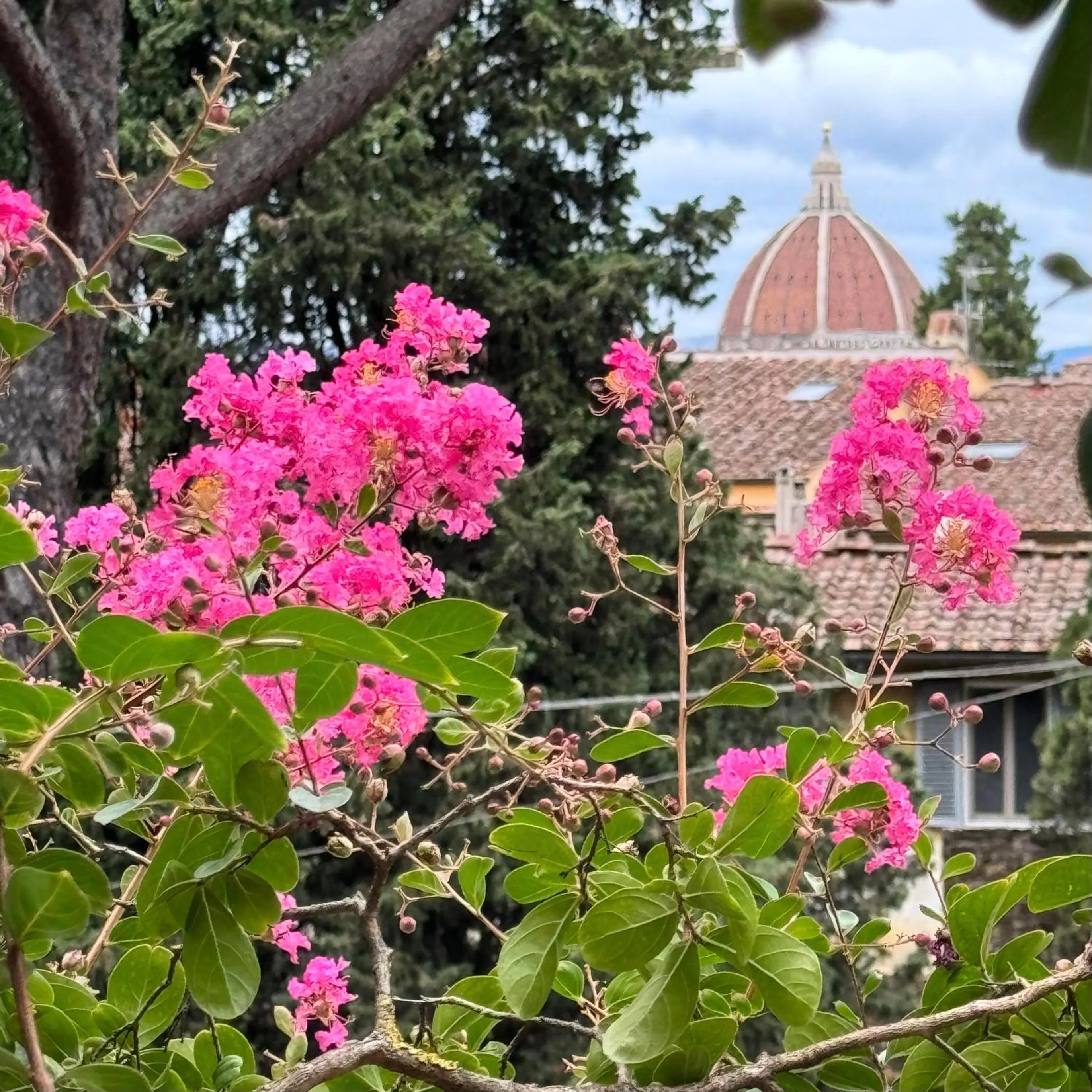 Nearby landmark in Hotel Cestelli