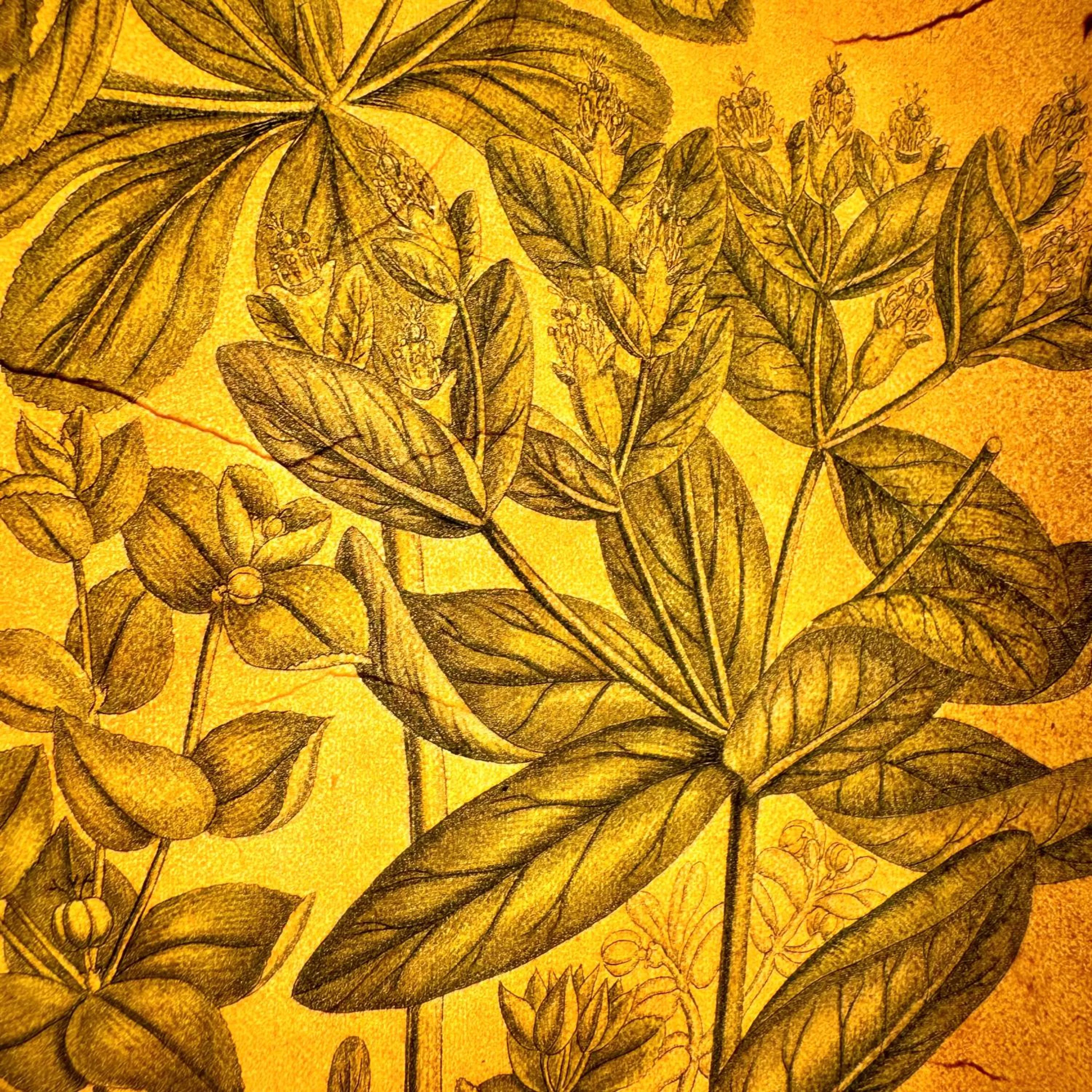 Decorative detail in Hotel Cestelli