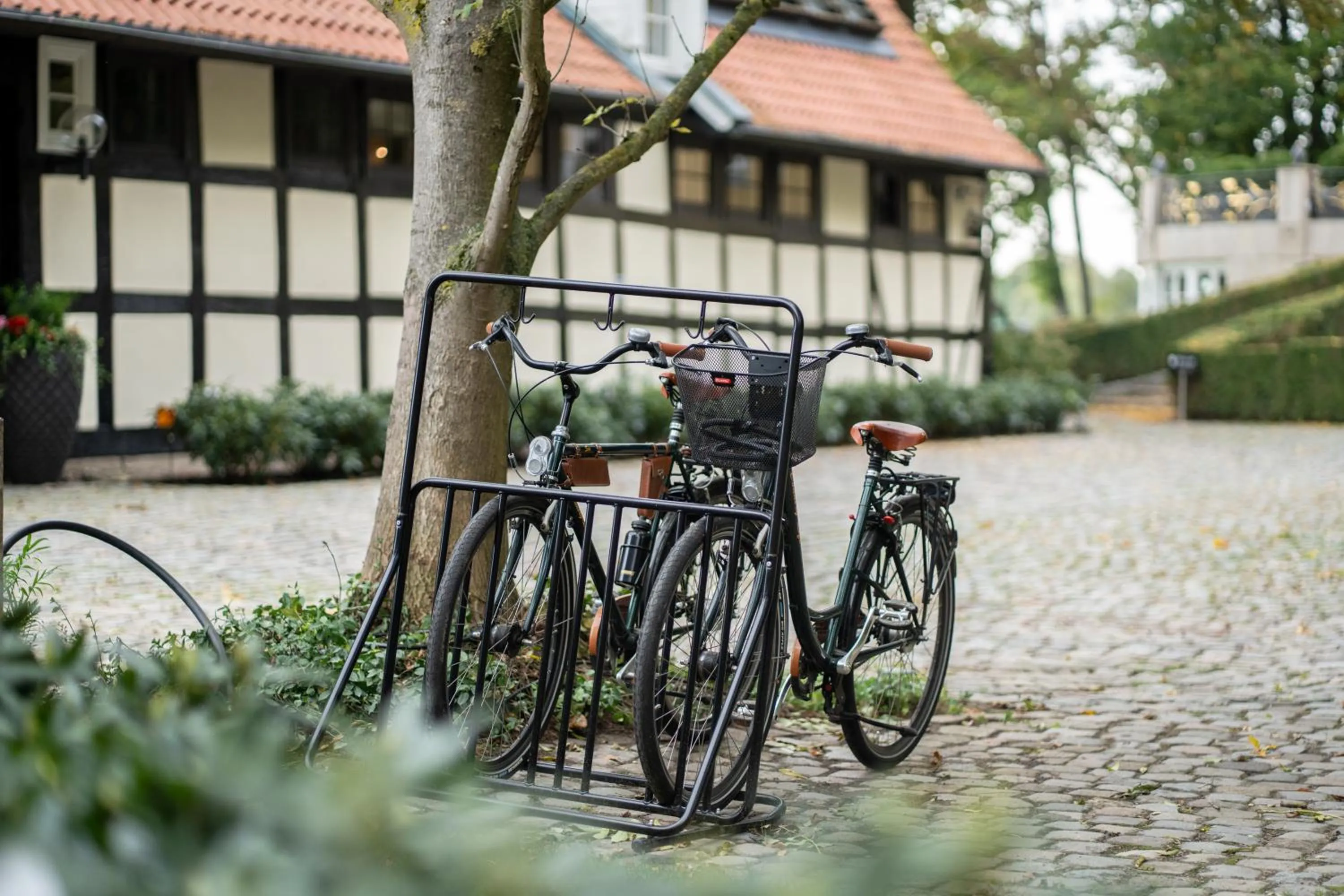Cycling in SCHLOSSRESIDENZ - Boutique Apartments & Hotel Suiten