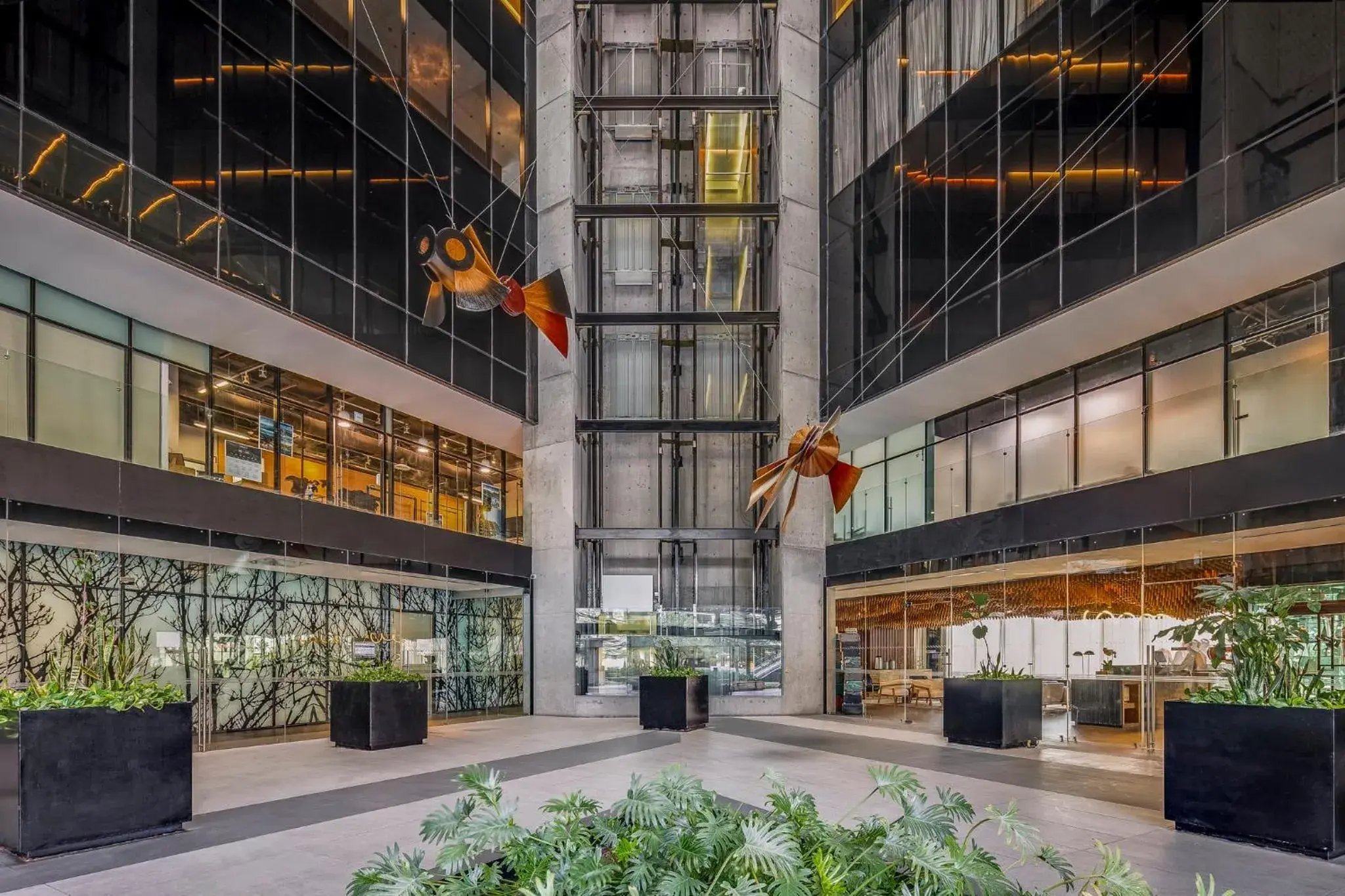 Restaurant/places to eat in Live Aqua Monterrey Restaurant/places to eat in Live Aqua Monterrey