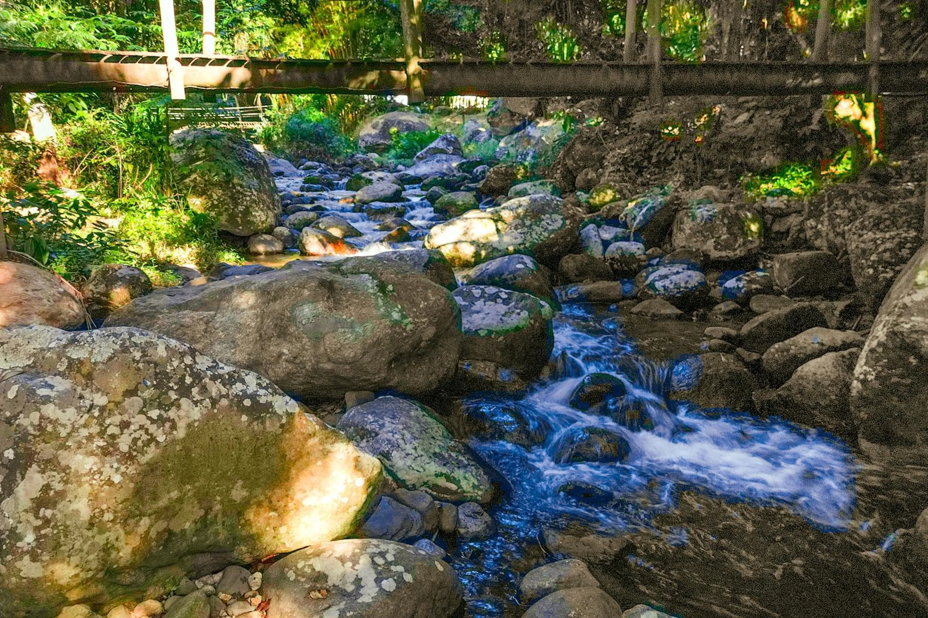 Natural landscape in Camping & Cabanas Ilhabela
