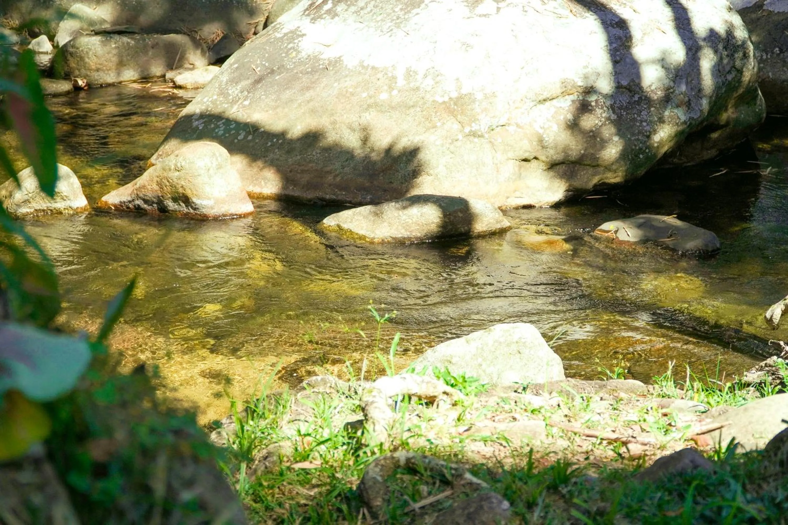 Natural landscape in Camping & Cabanas Ilhabela