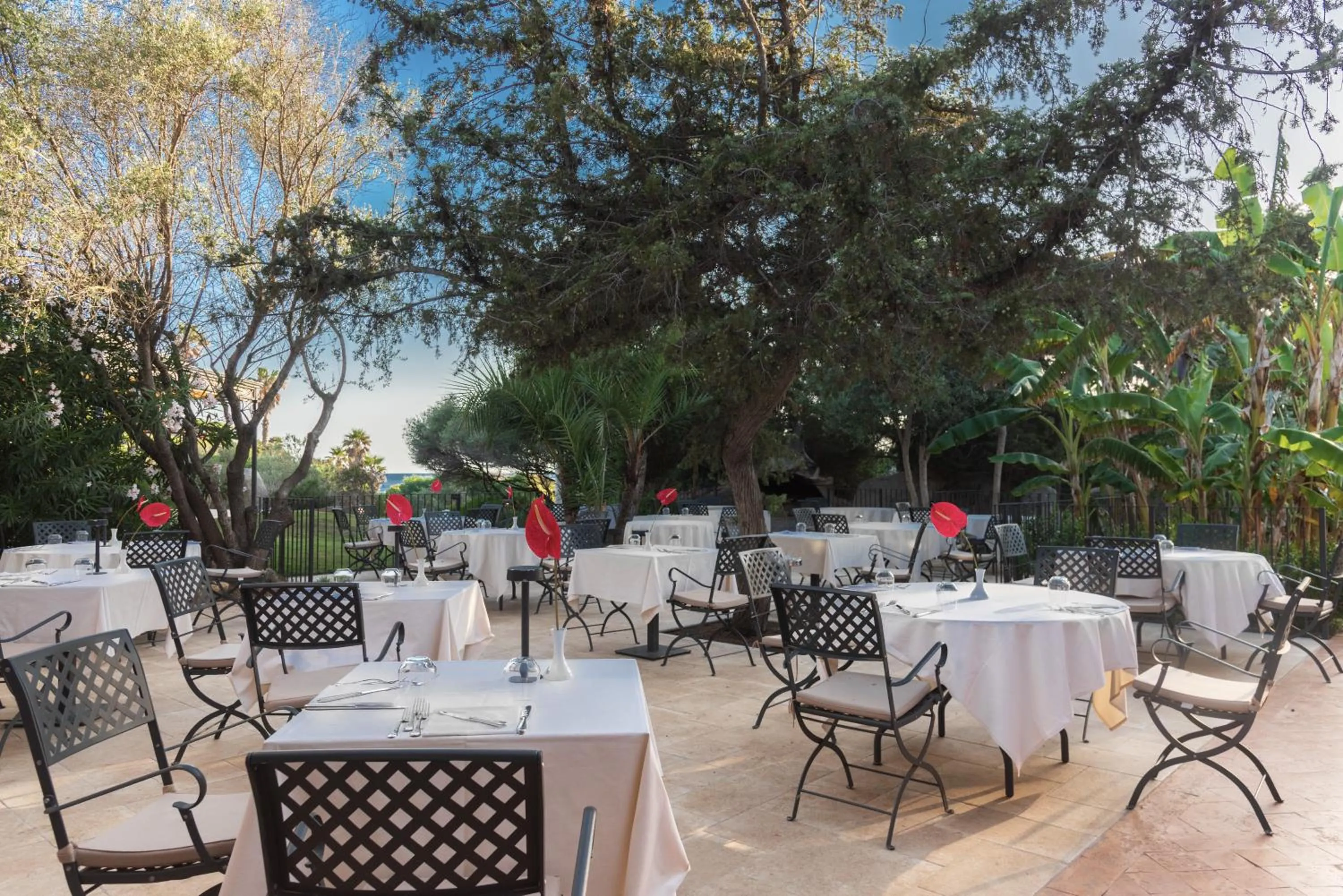 Restaurant/places to eat in Hotel Cala Caterina