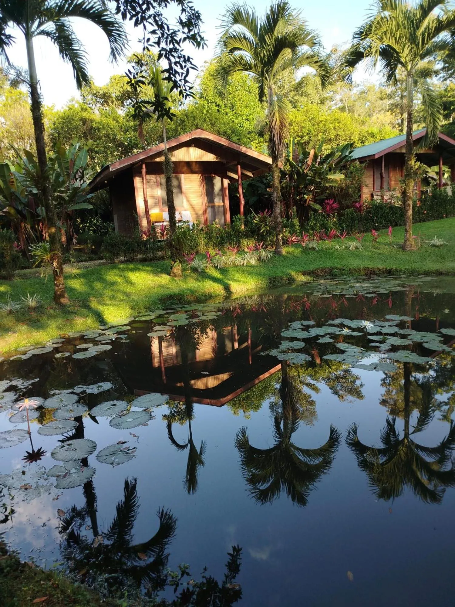 Rincon Verde