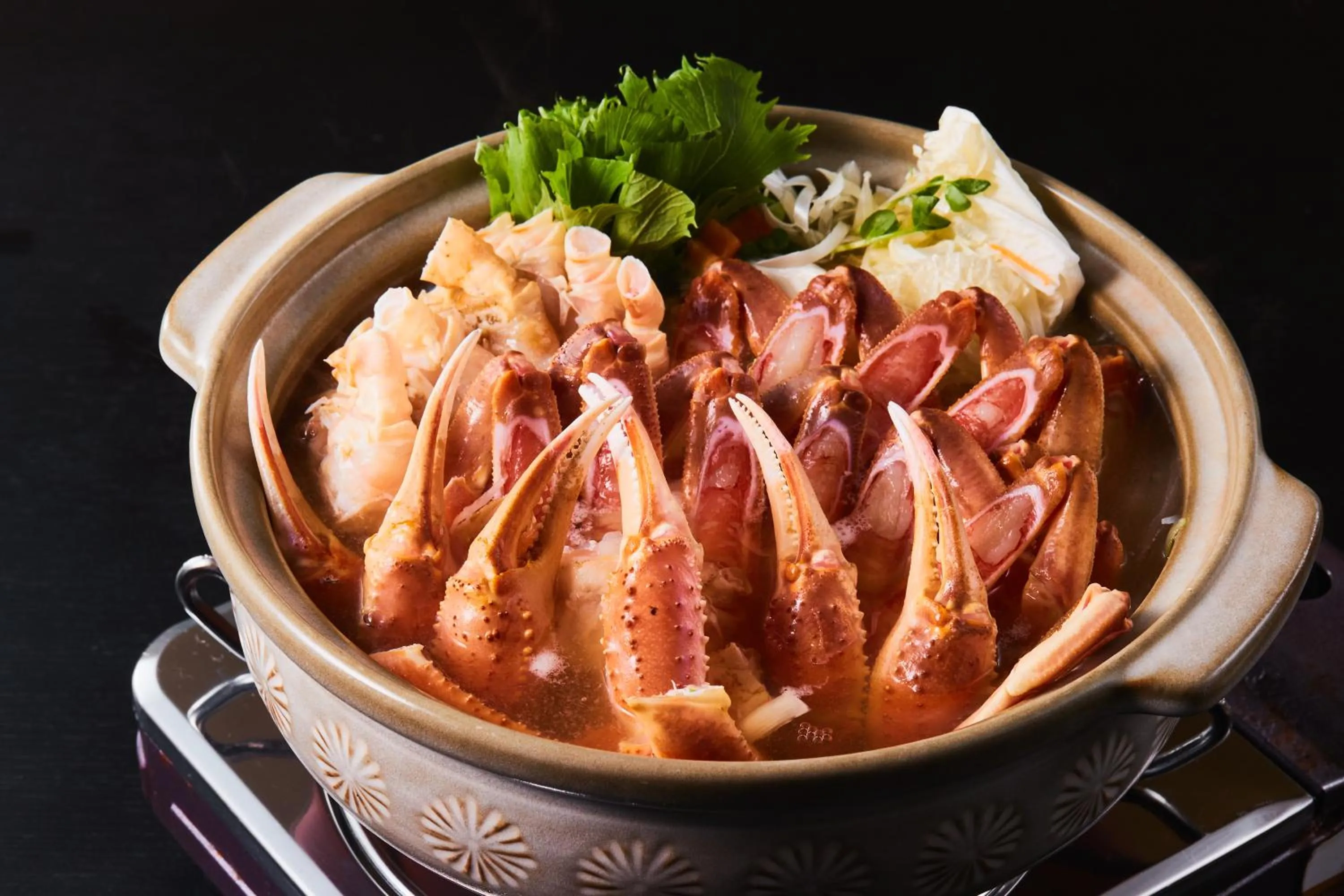 Reyzenit Kinosaki Suite VILLA