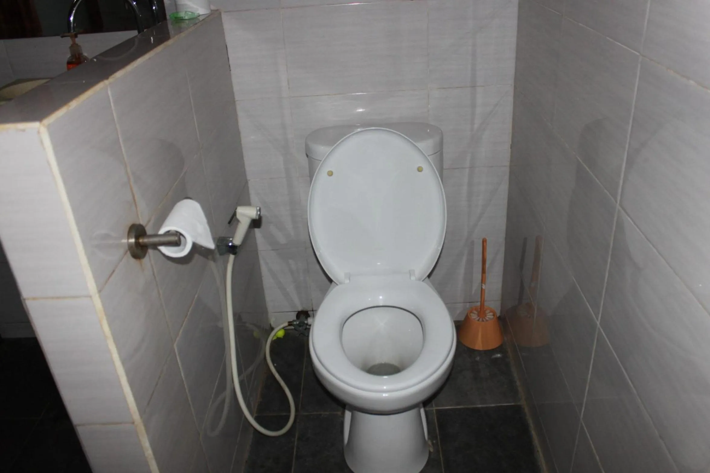 Bathroom in Albany Home Stay