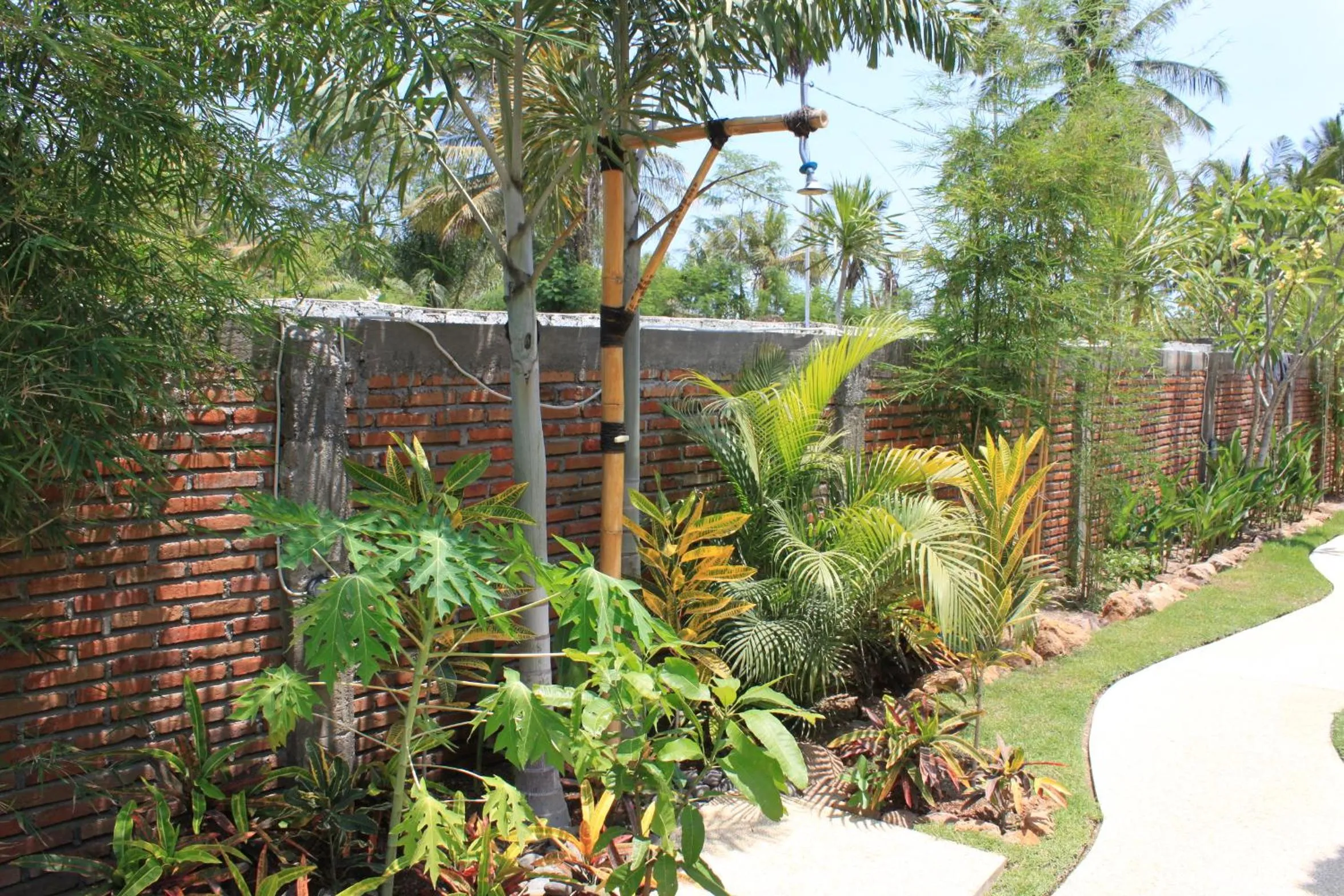 Garden in Albany Home Stay