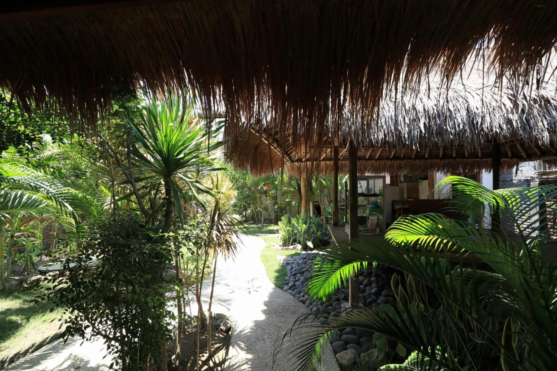 Summer in Albany Home Stay