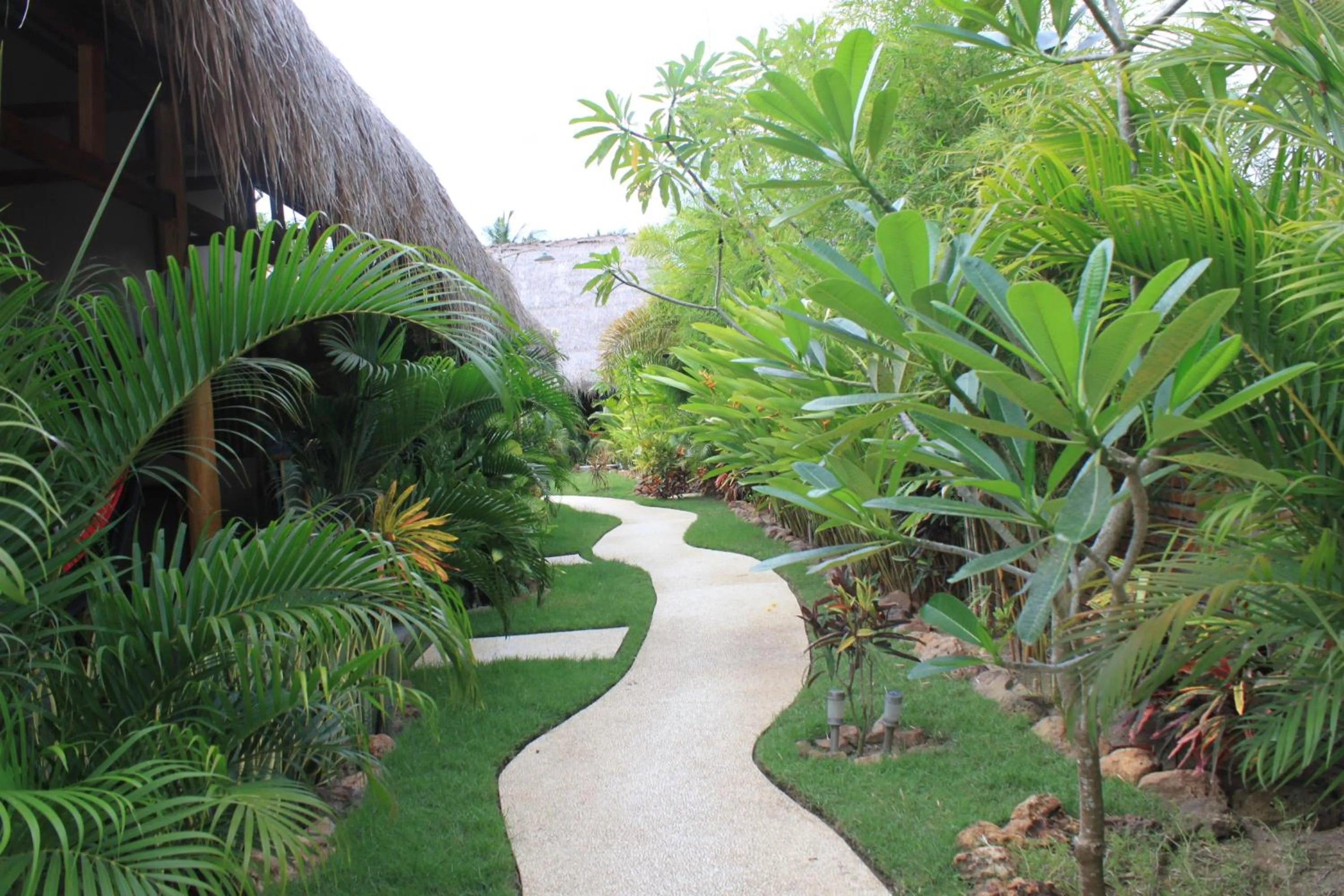 Property building in Albany Home Stay