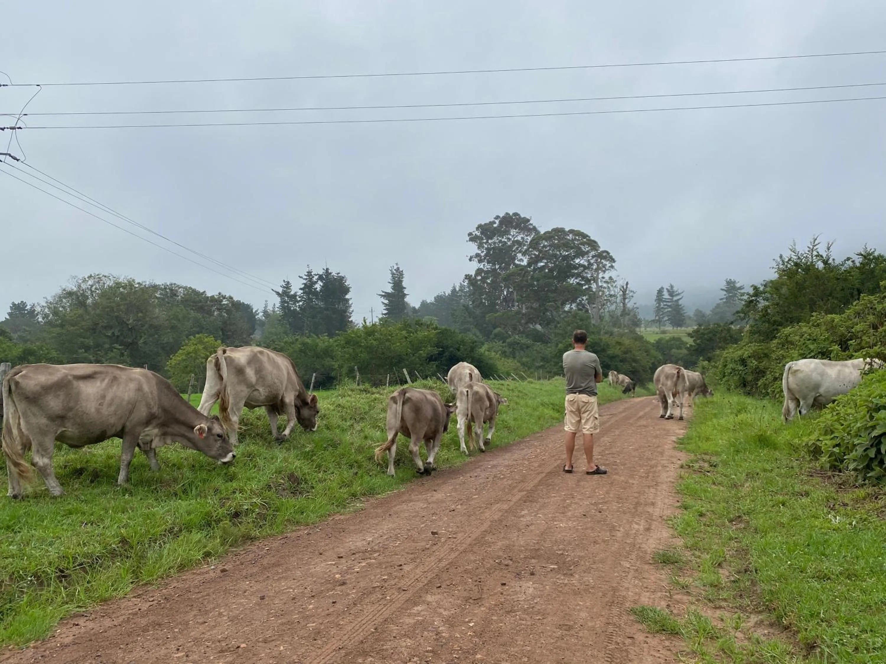 Animals in Bella Manga Country Escape