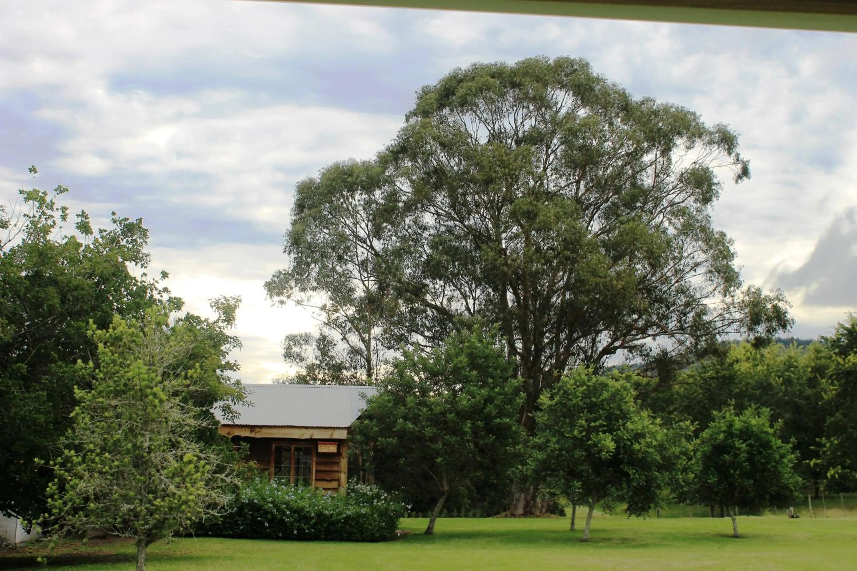 Natural landscape in Bella Manga Country Escape