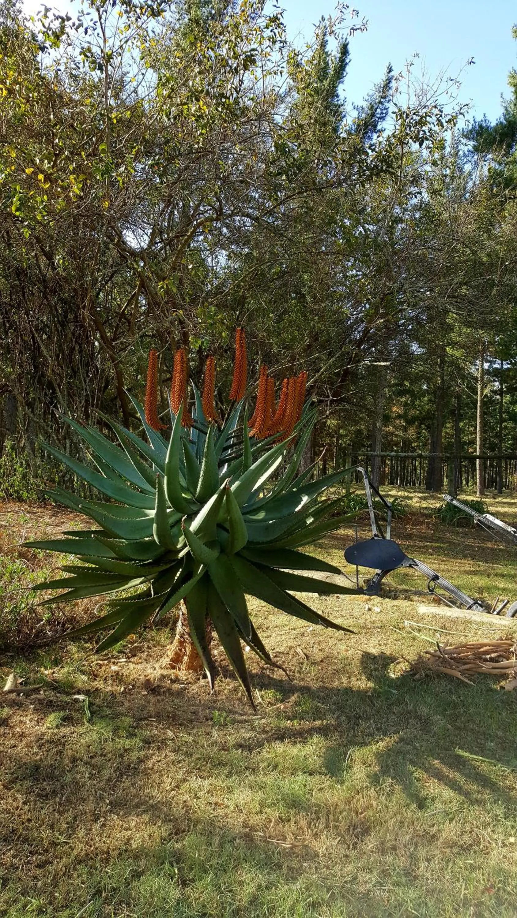 Garden in Bella Manga Country Escape