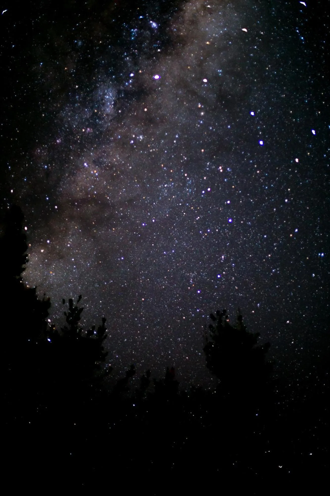 Night in Bella Manga Country Escape