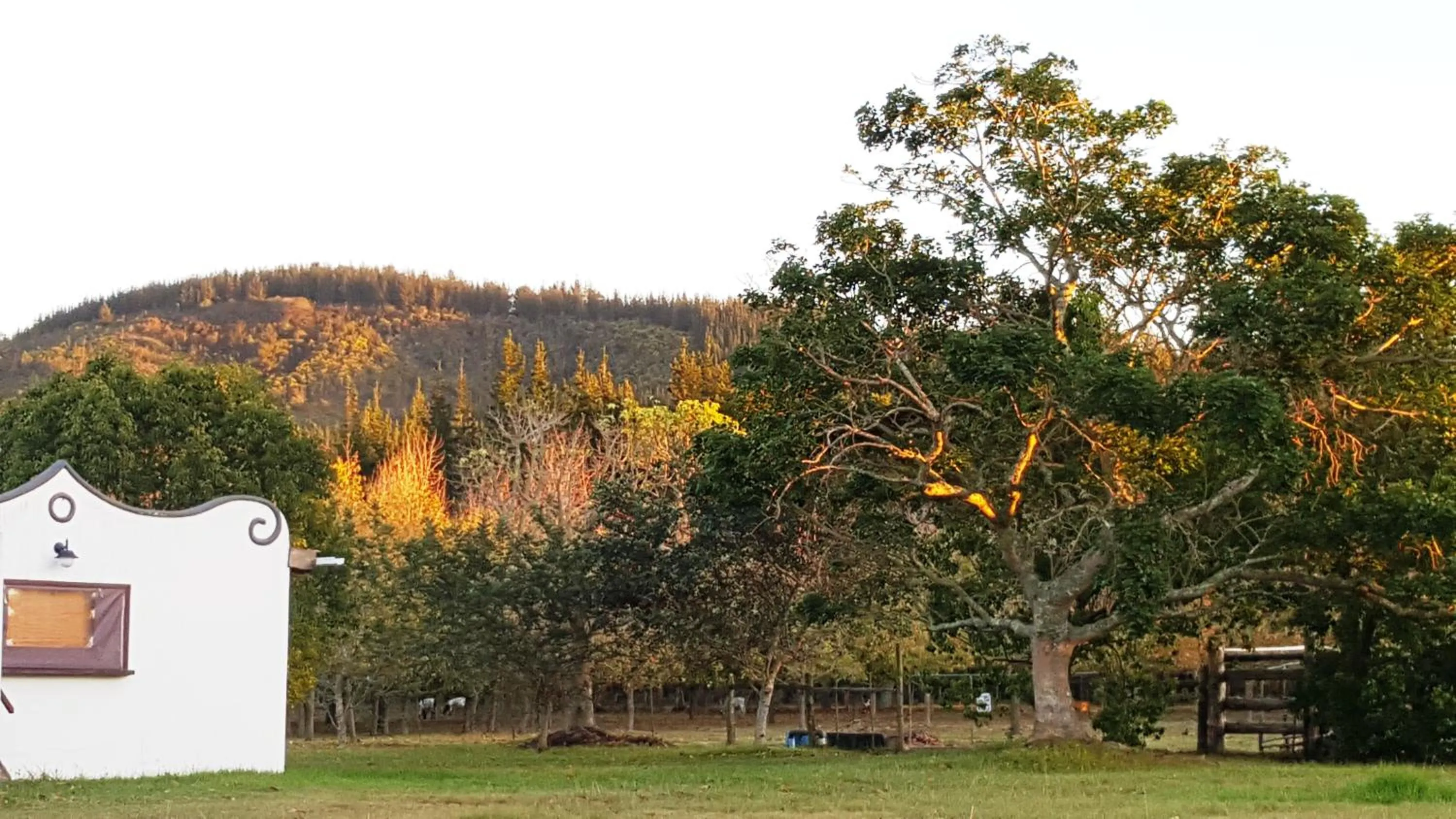 Property building in Bella Manga Country Escape