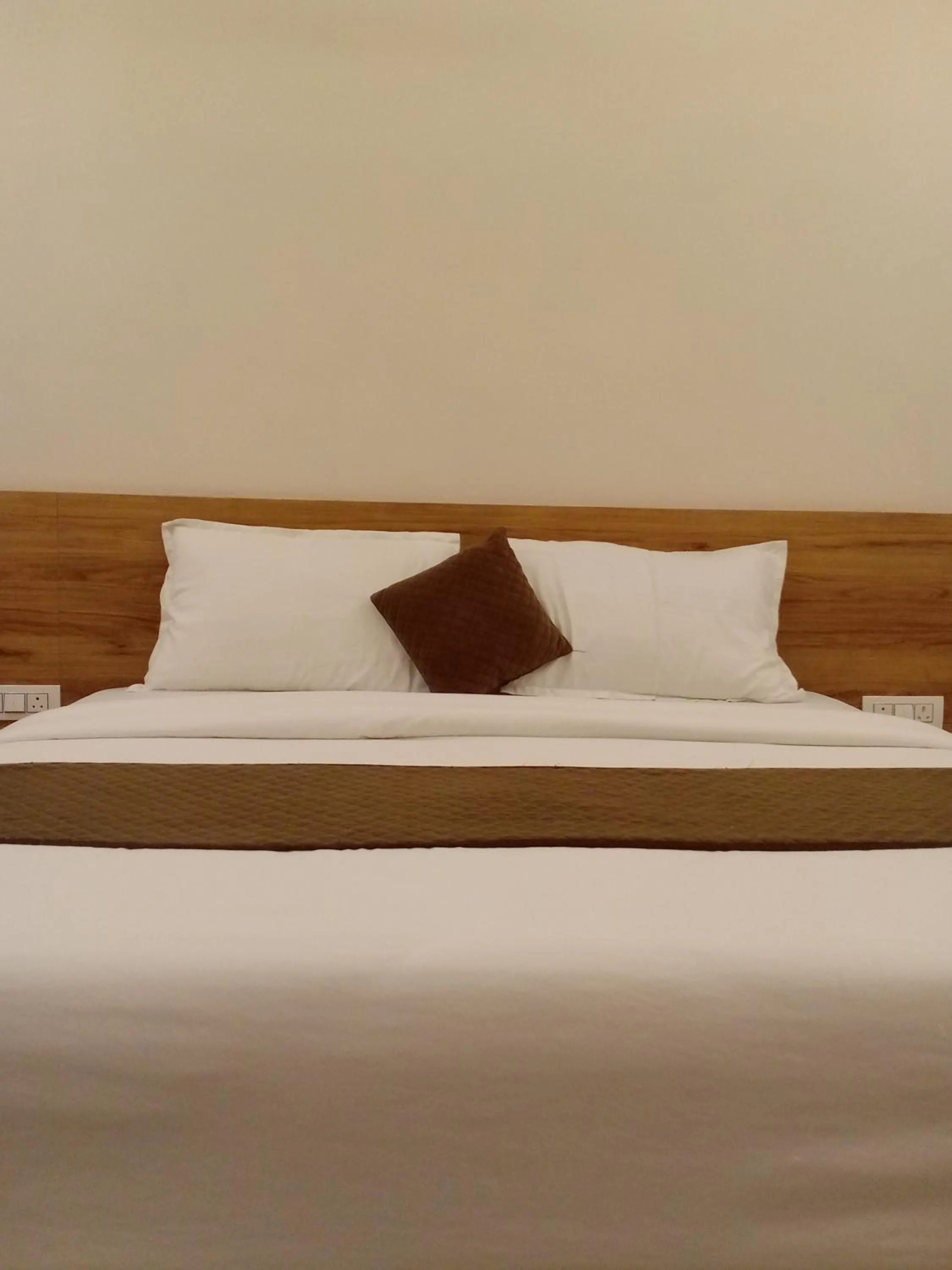 Double Room - single occupancy in Hotel Pushkar Town