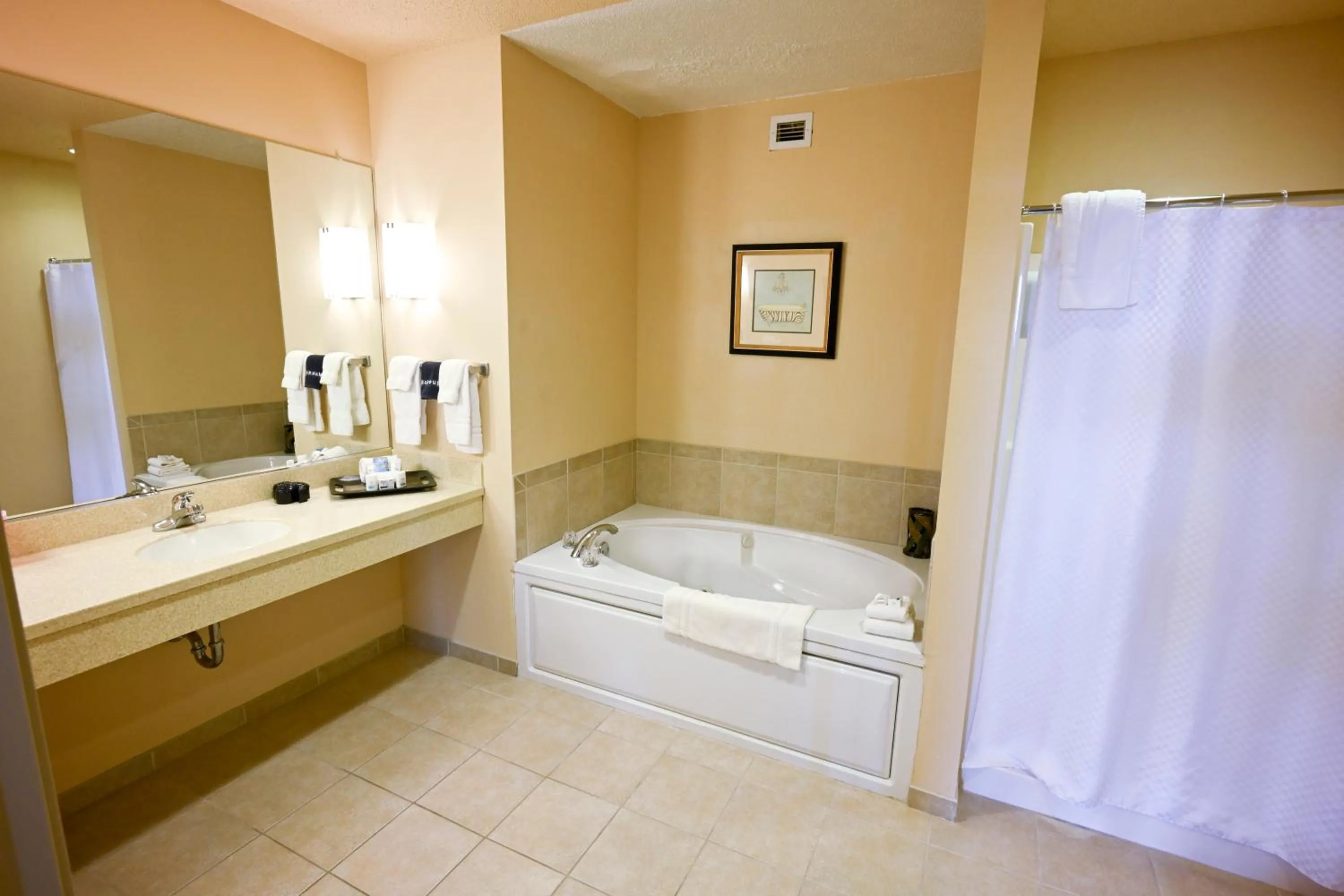 Bathroom in Wild Rose Casino & Hotel Emmetsburg