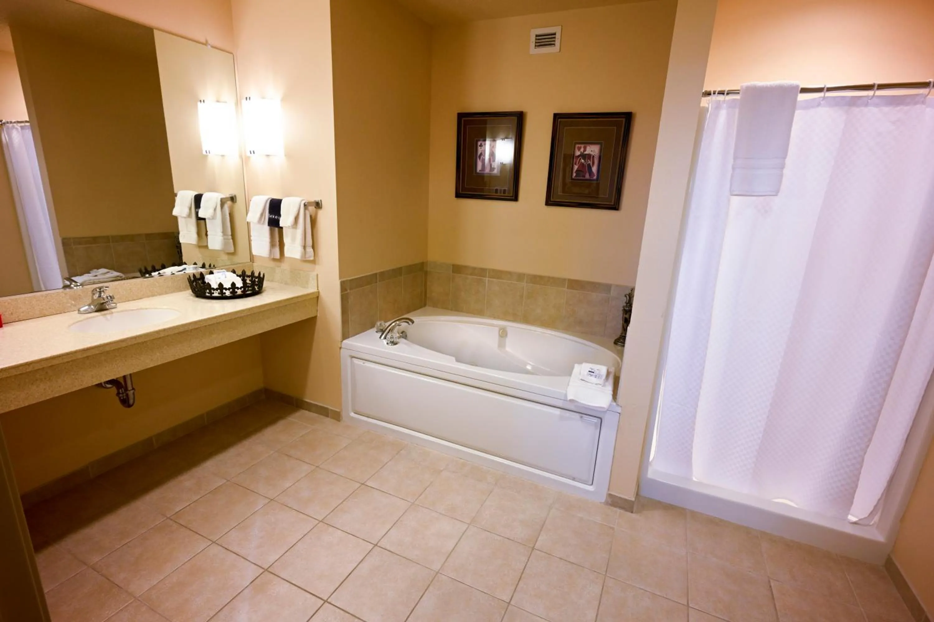 Bathroom in Wild Rose Casino & Hotel Emmetsburg