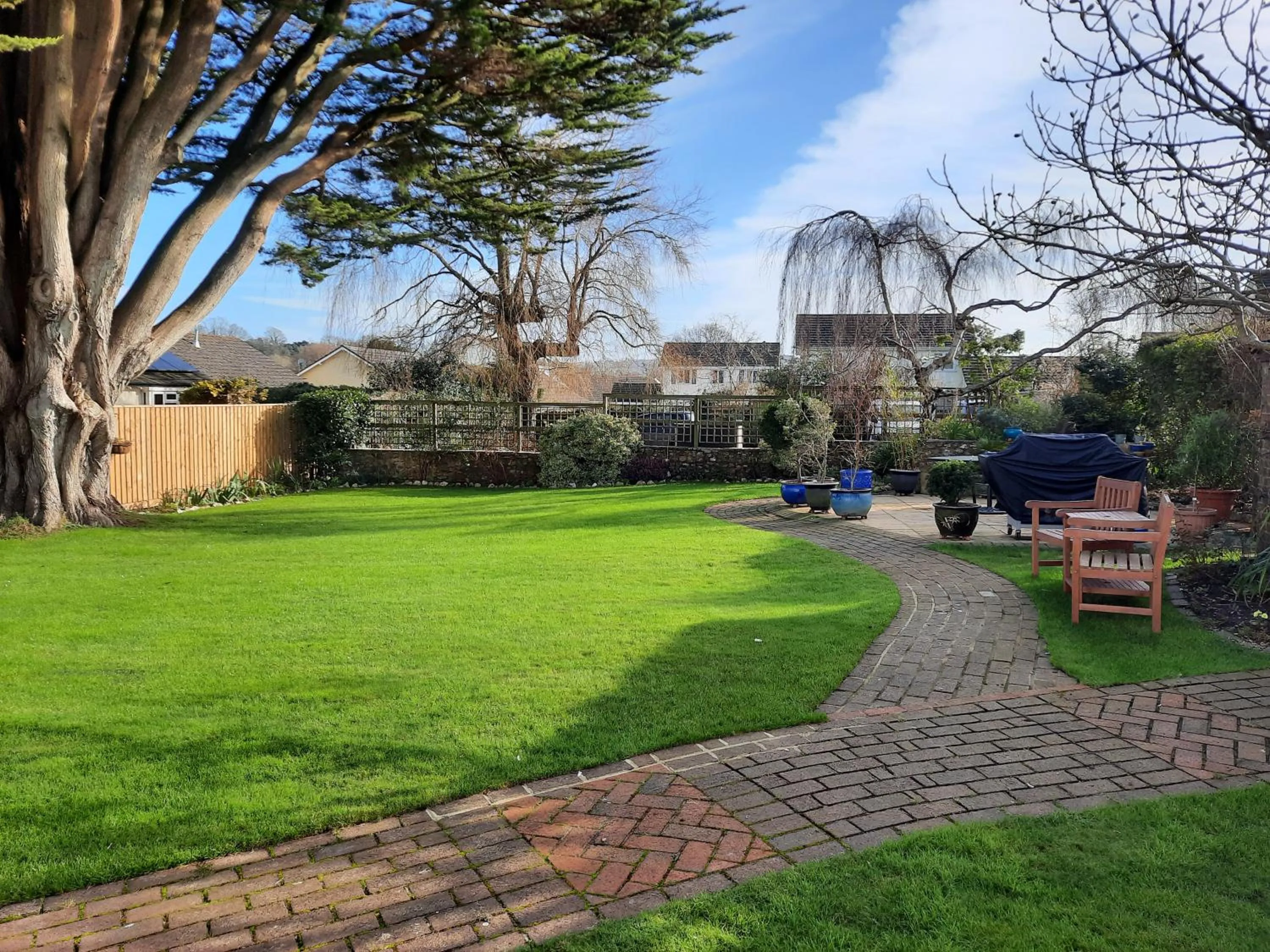 Garden in The White Cottage