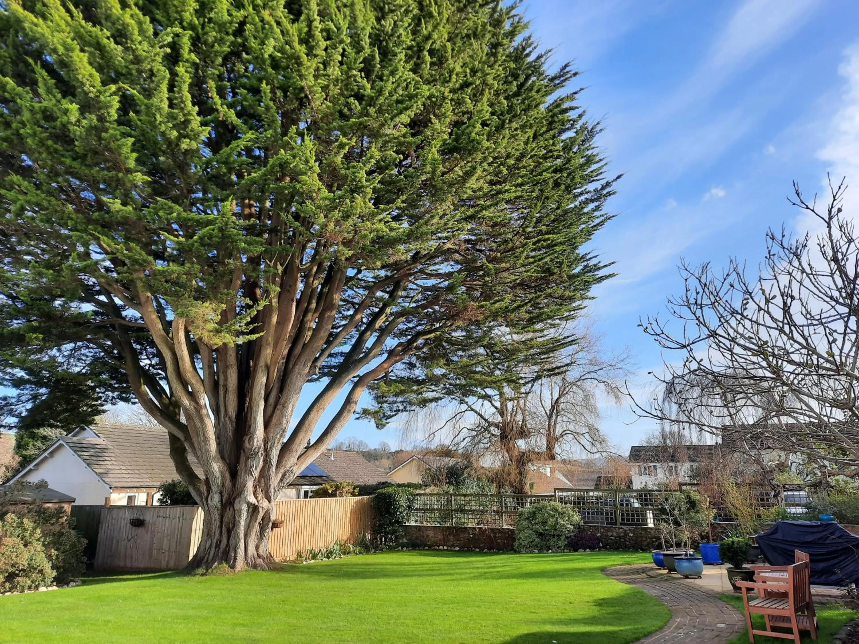 Garden in The White Cottage