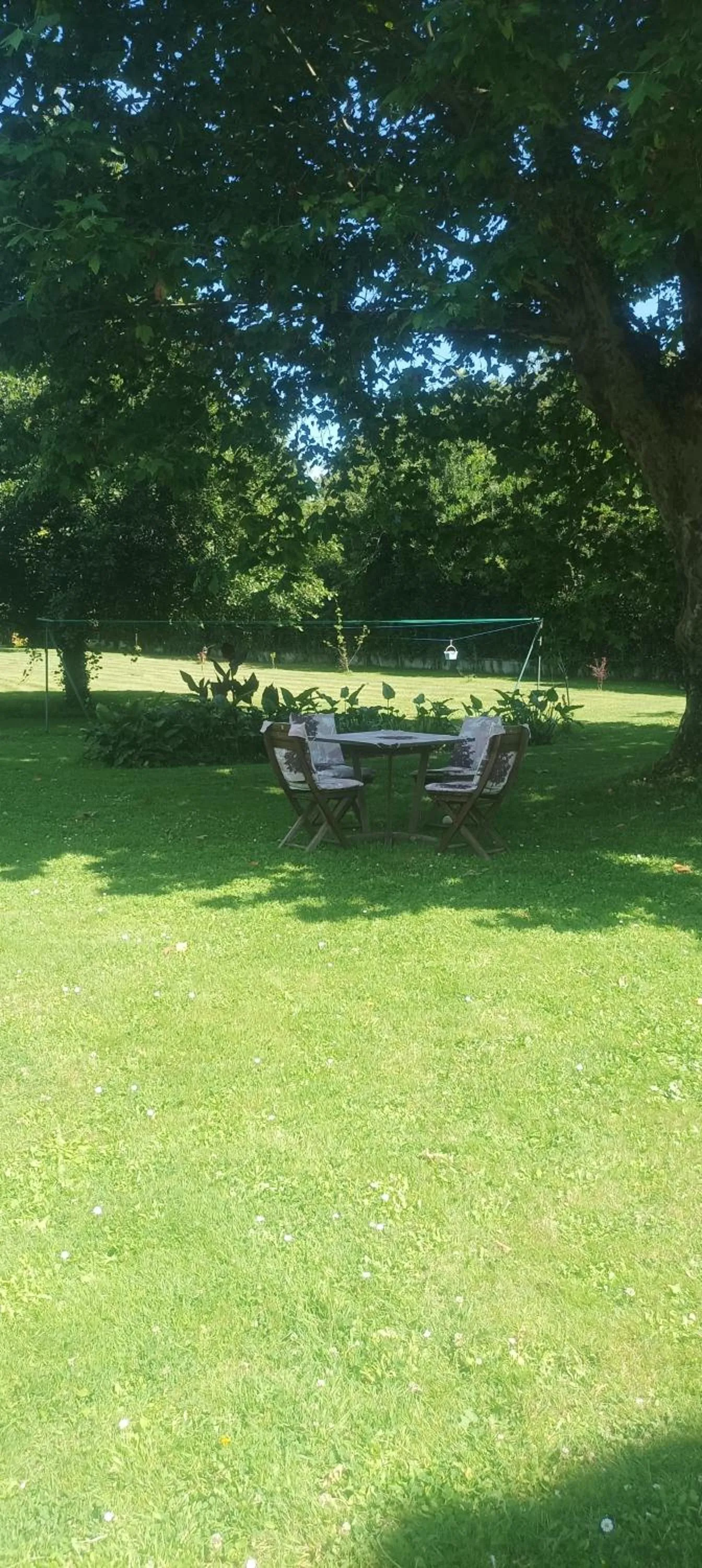 Garden in Montplaisir