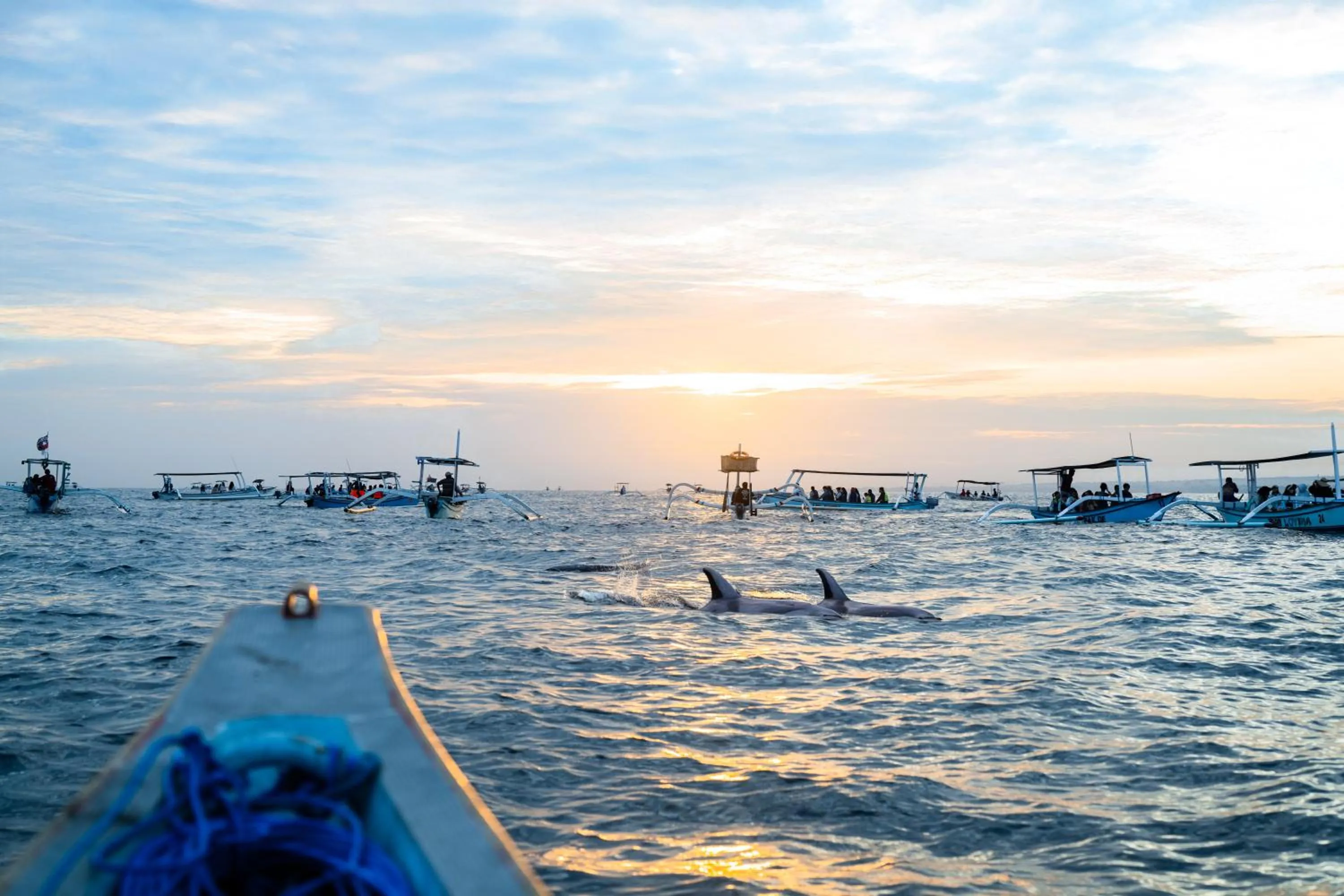 Activities in Lovina Beach Club & Resort