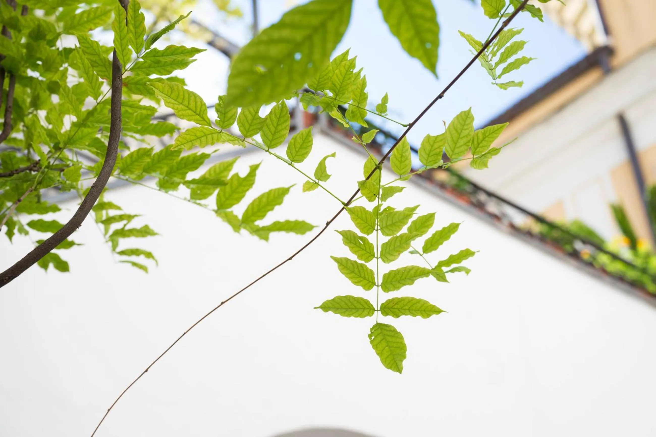 Decorative detail in Hotel Antica Repubblica in Amalfi center at 100mt from the sea