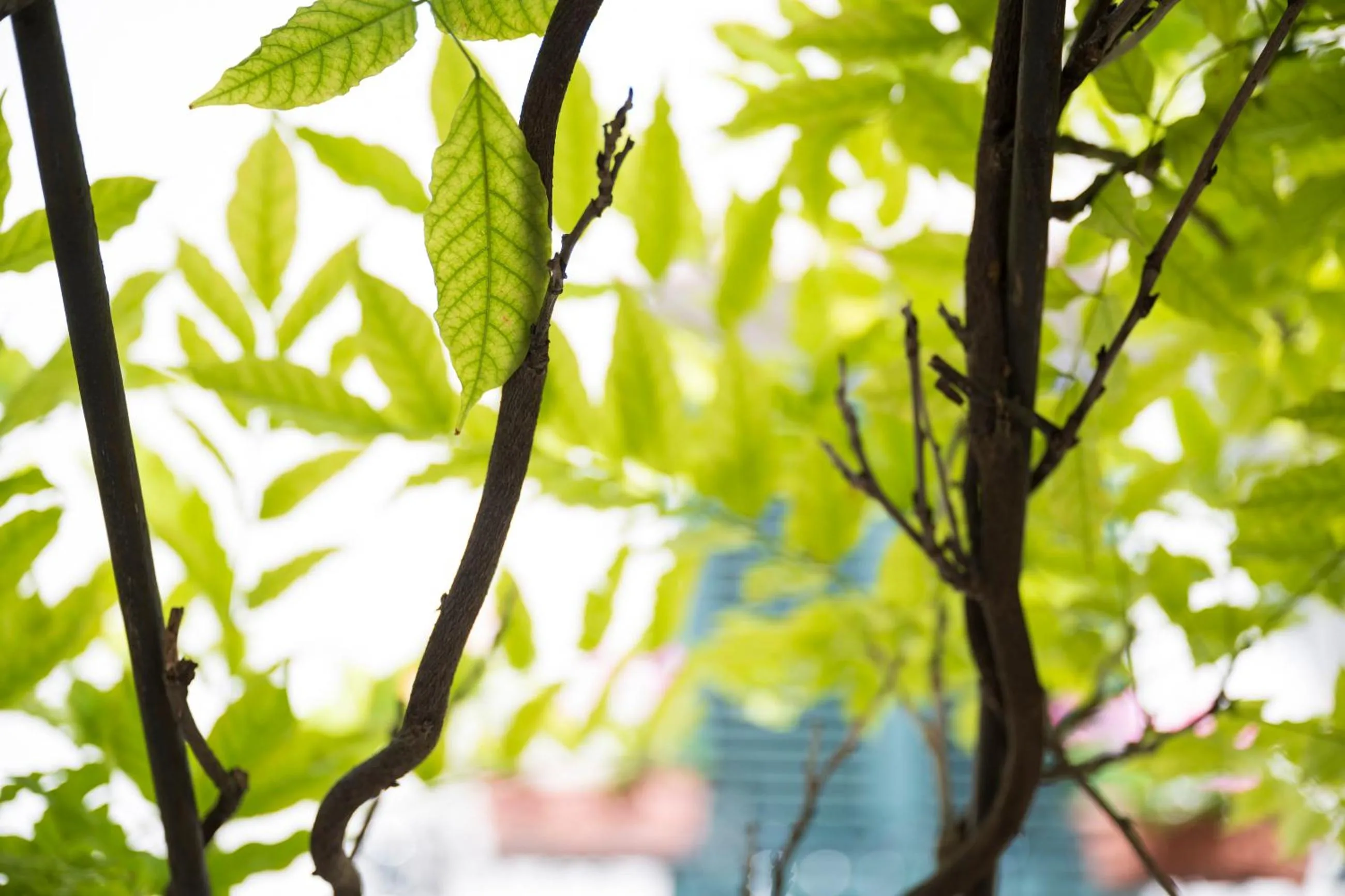Decorative detail in Hotel Antica Repubblica in Amalfi center at 100mt from the sea