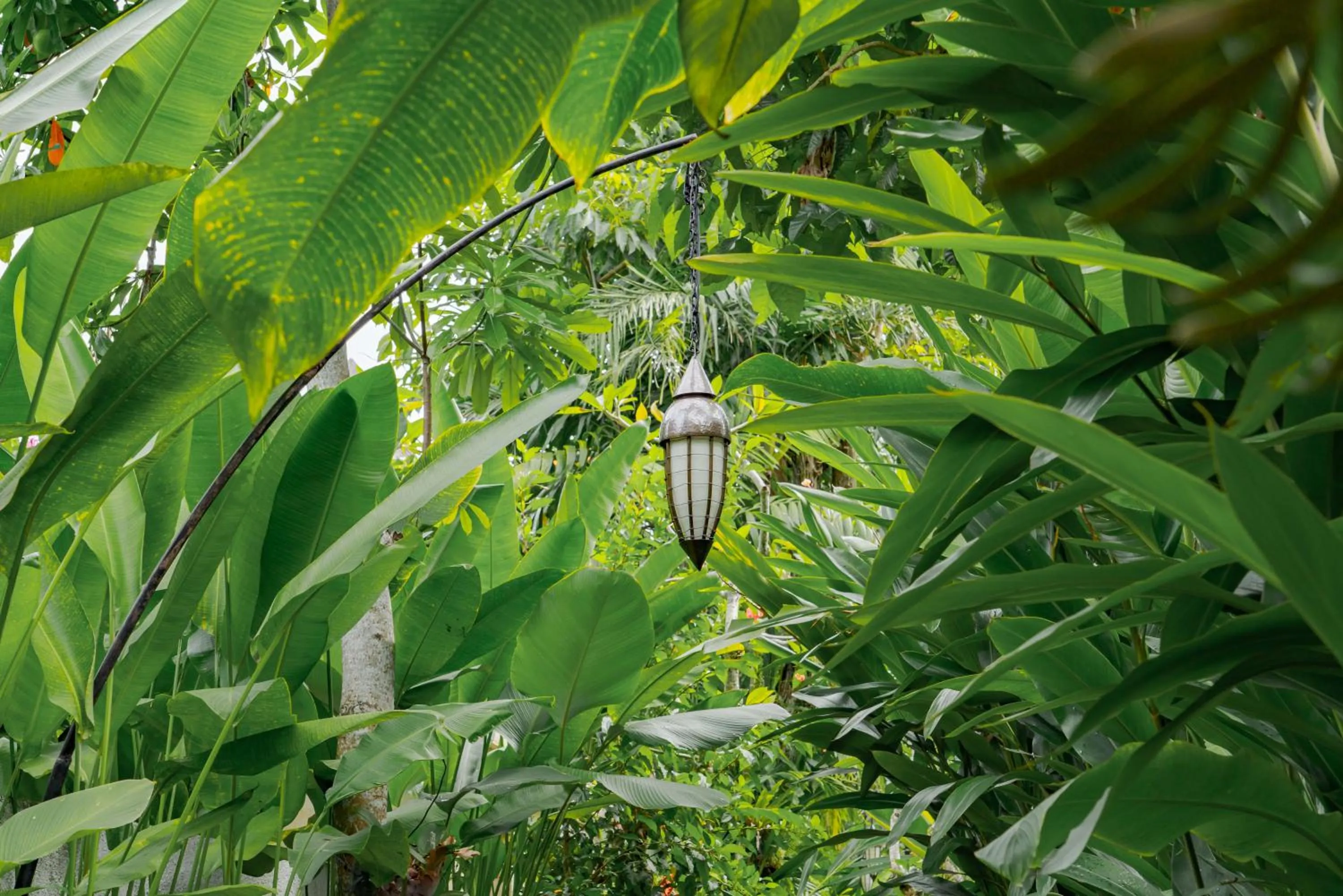 Day in Goya Boutique Resort