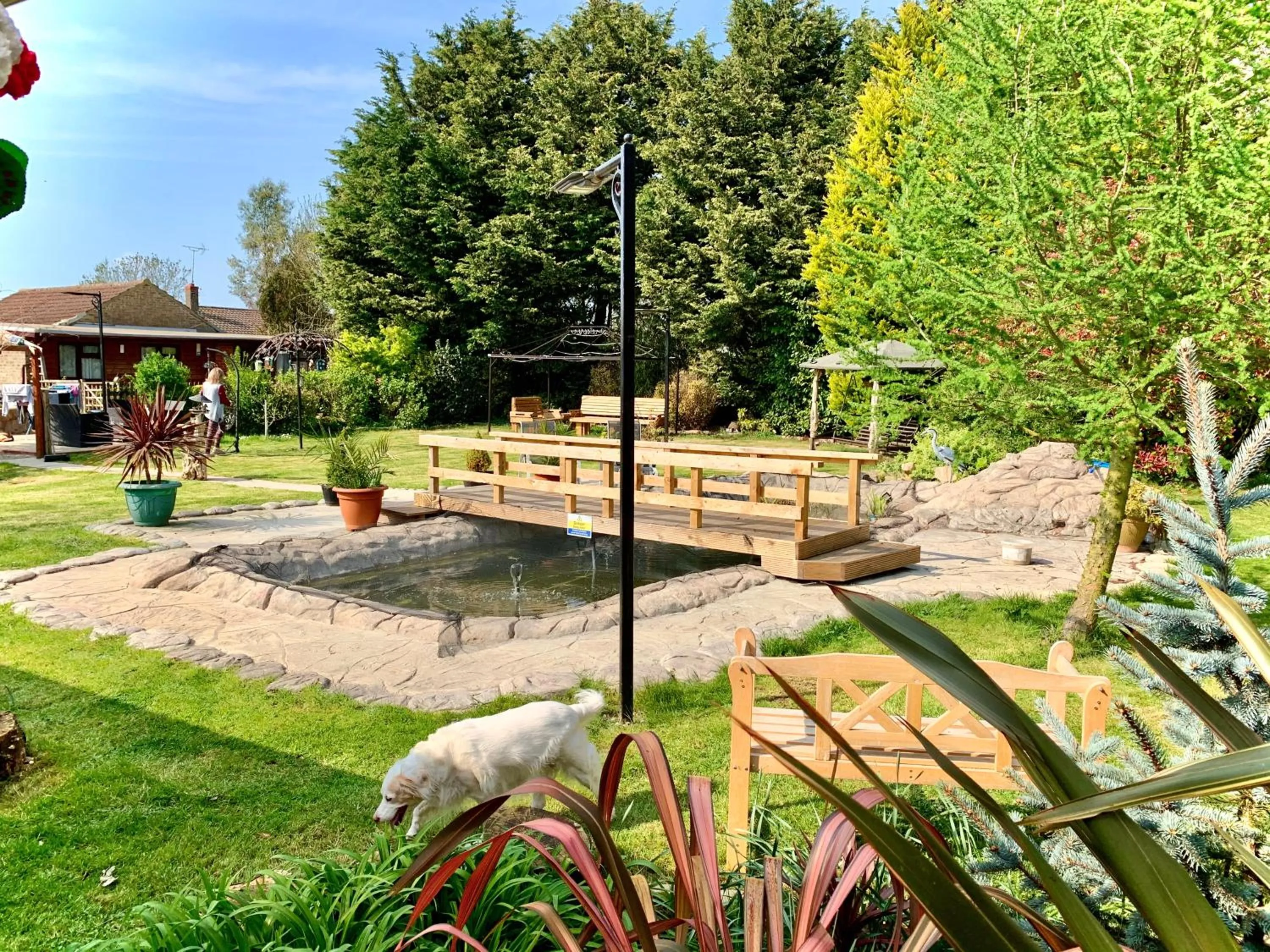 View (from property/room) in Woodpaddock Bed & Breakfast