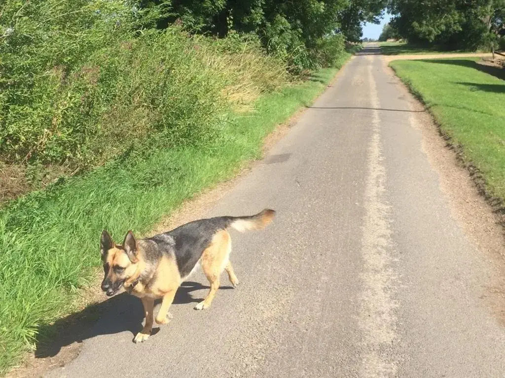 Activities in Woodpaddock Bed & Breakfast Activities in Woodpaddock Bed & Breakfast