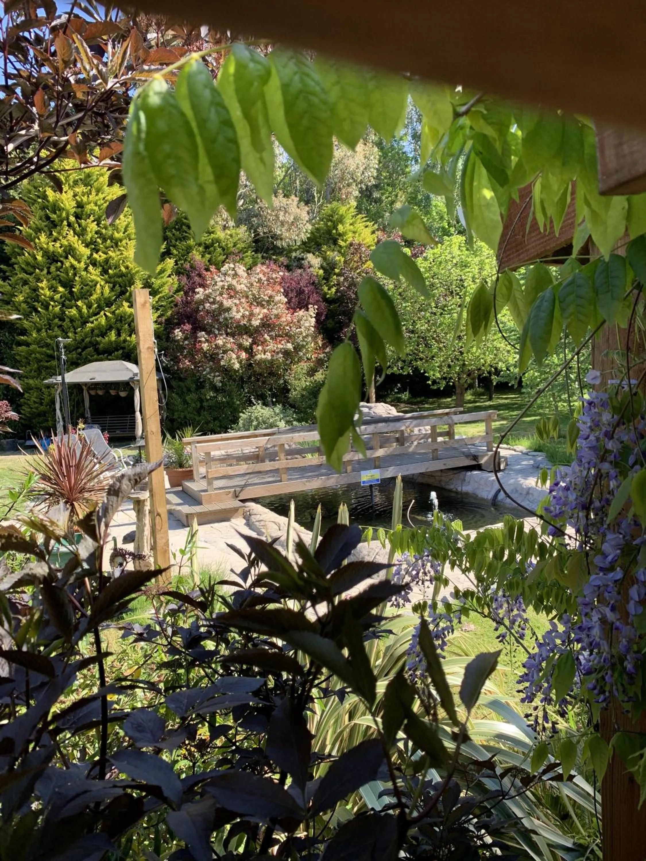 Garden in Woodpaddock Bed & Breakfast