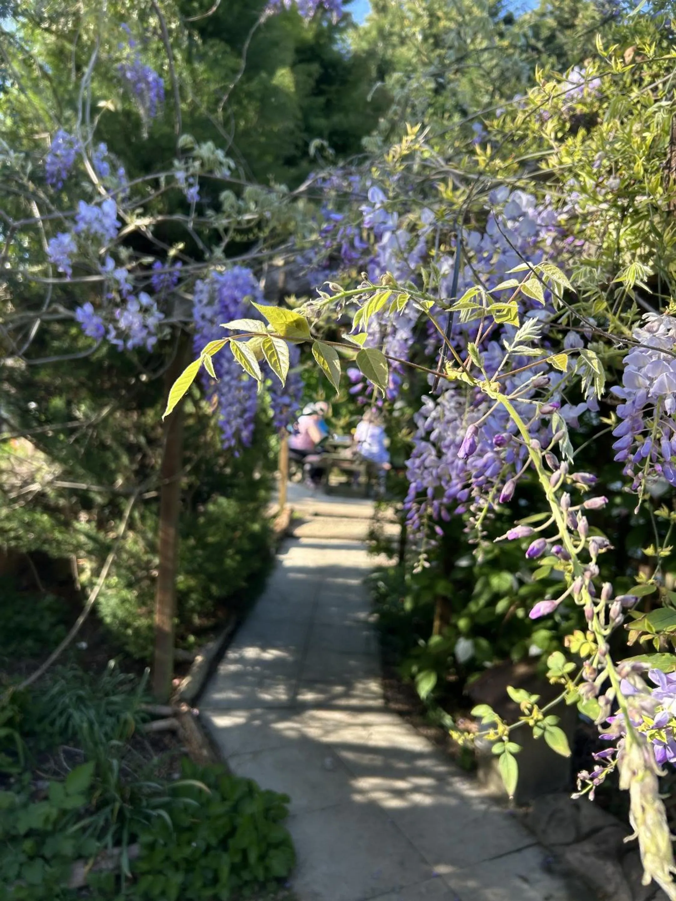 Other in Woodpaddock Bed & Breakfast