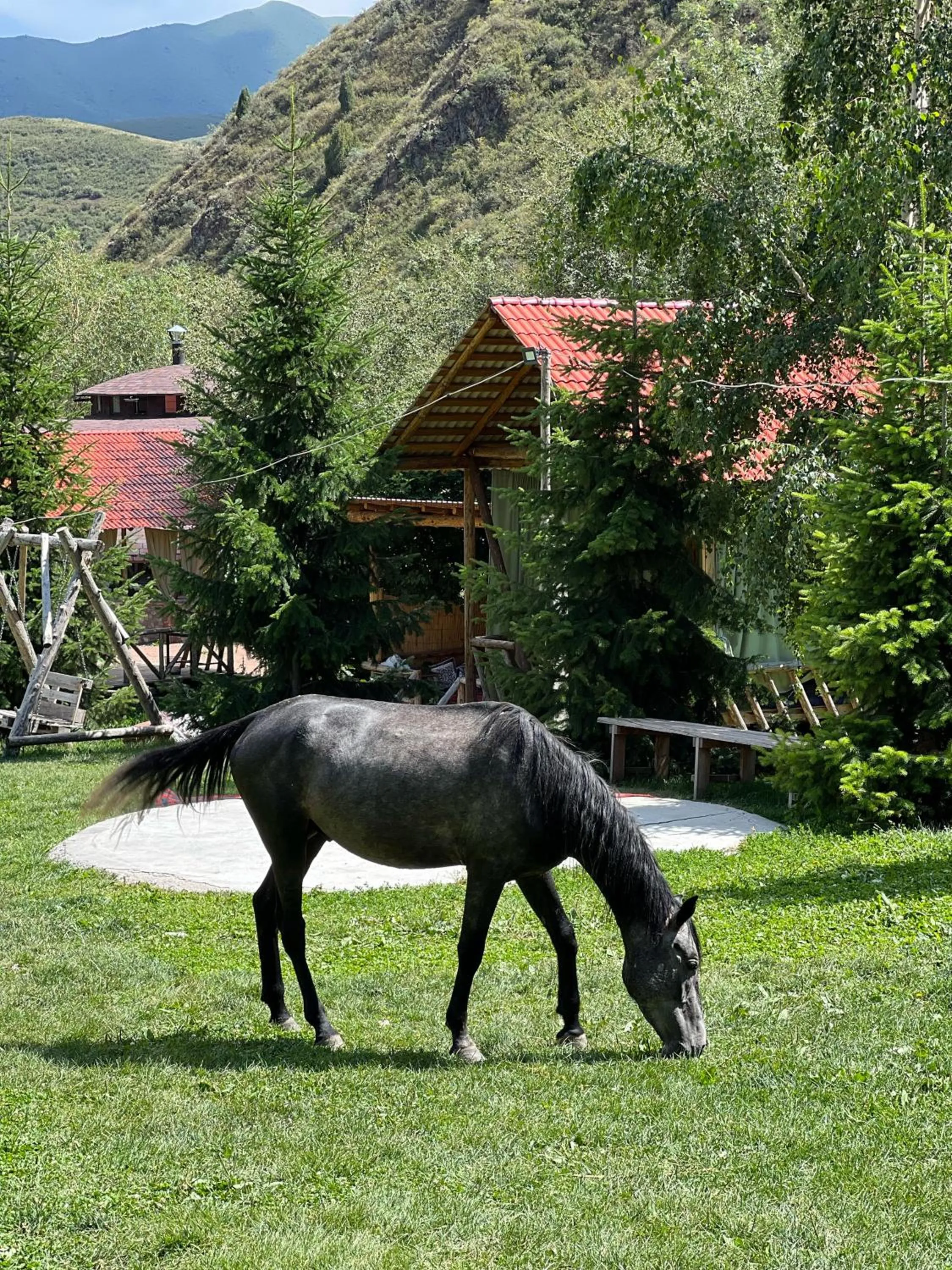 Eco Resort Kara Bulak