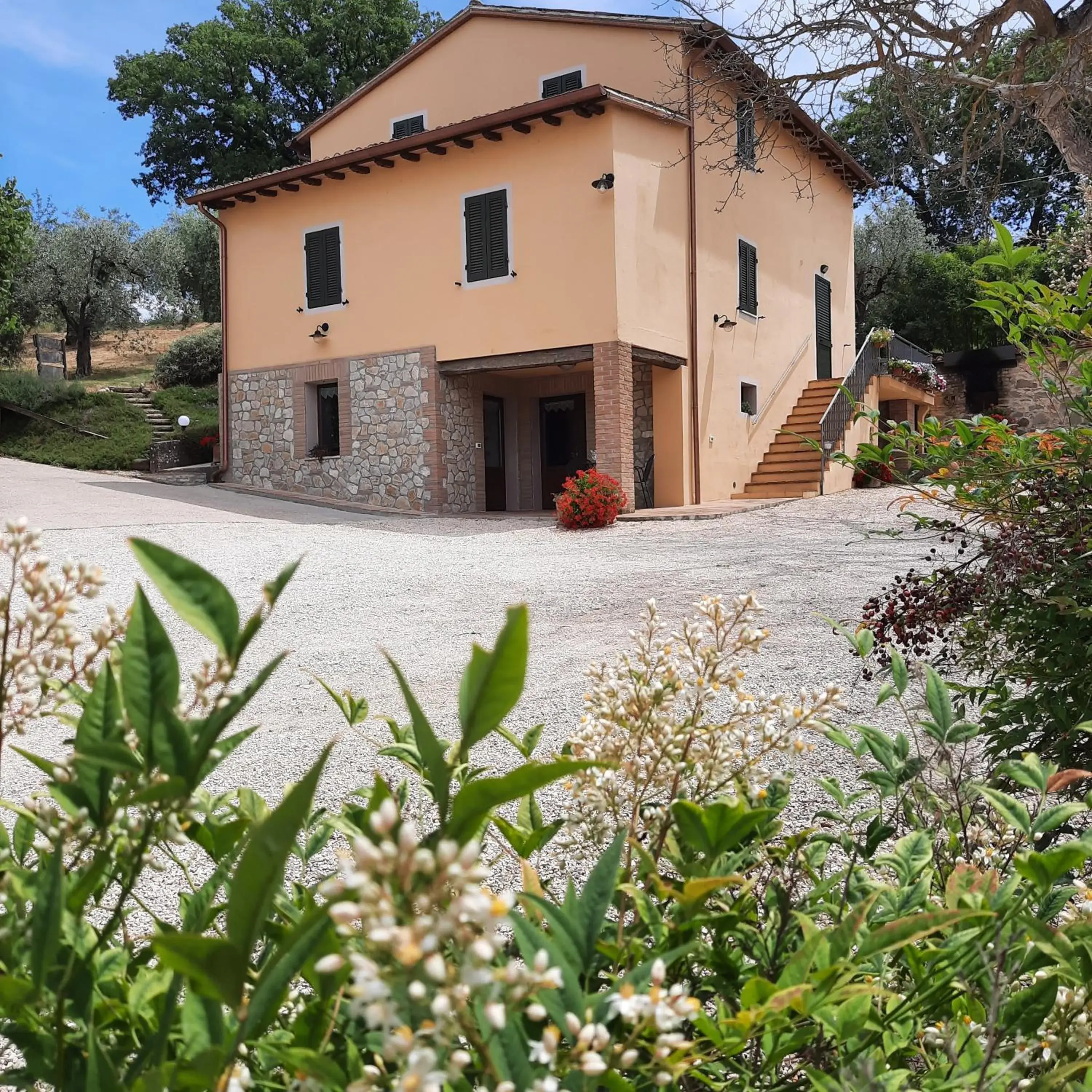 Agriturismo Il Truffarello TODI Agriturismo Il Truffarello TODI