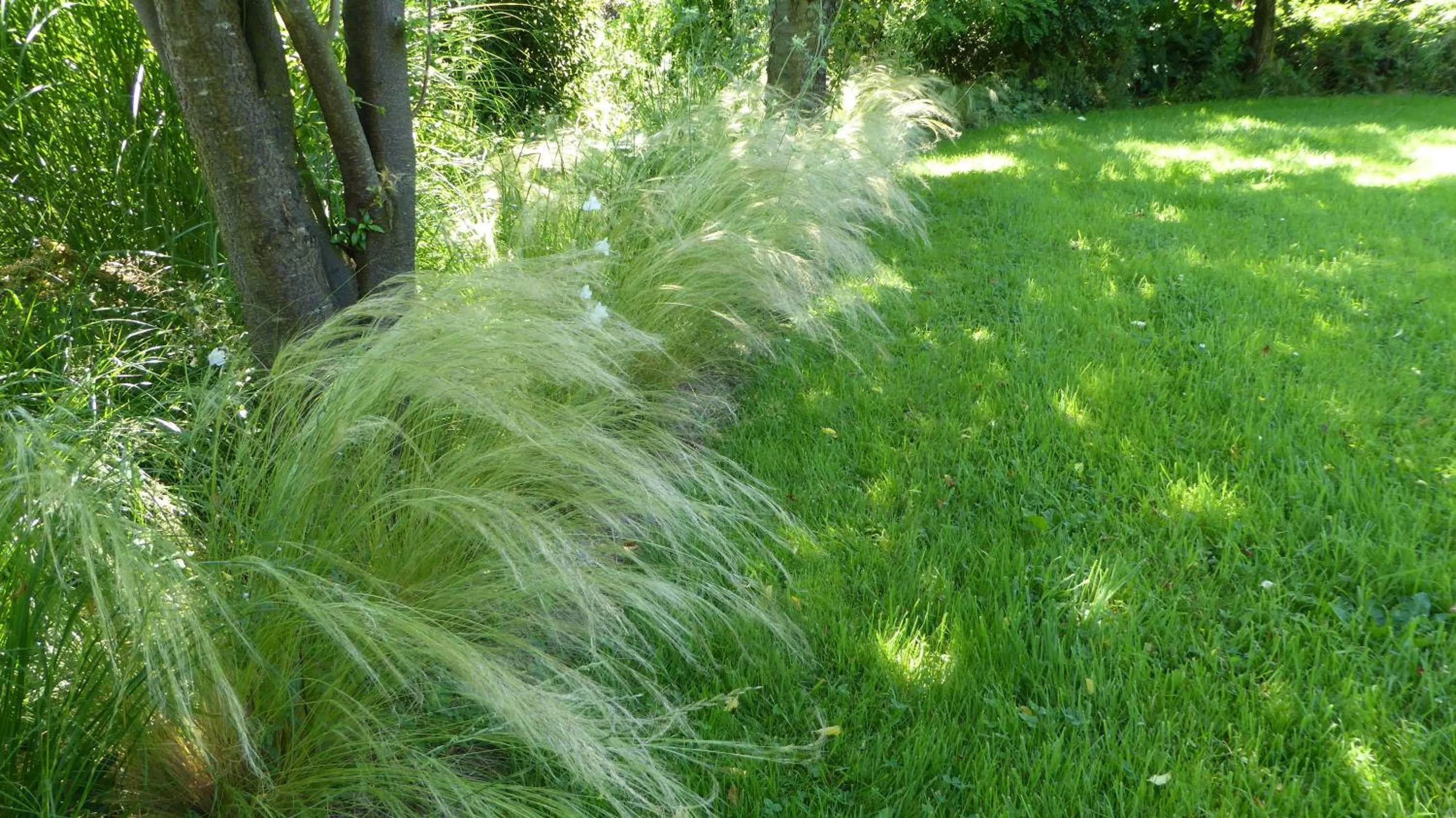 Garden in La Couette de l'Ours