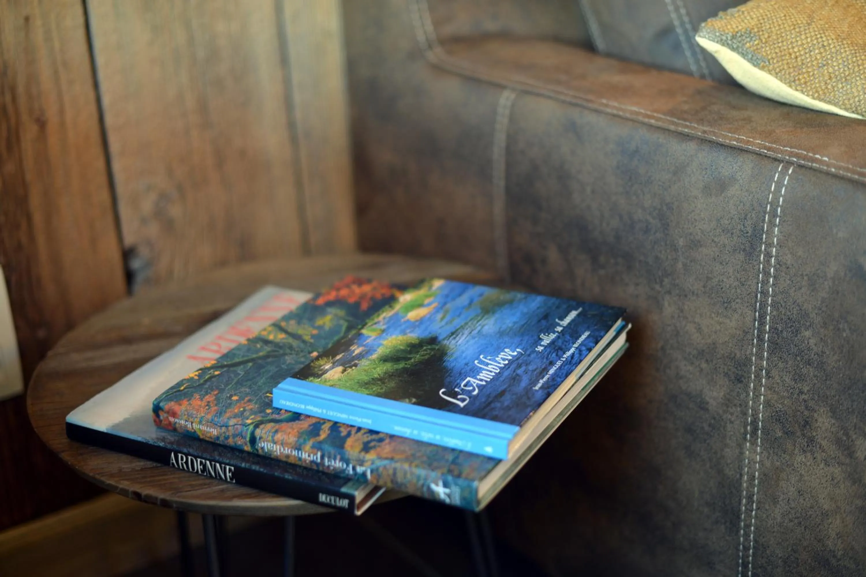 Living room in La Couette de l'Ours