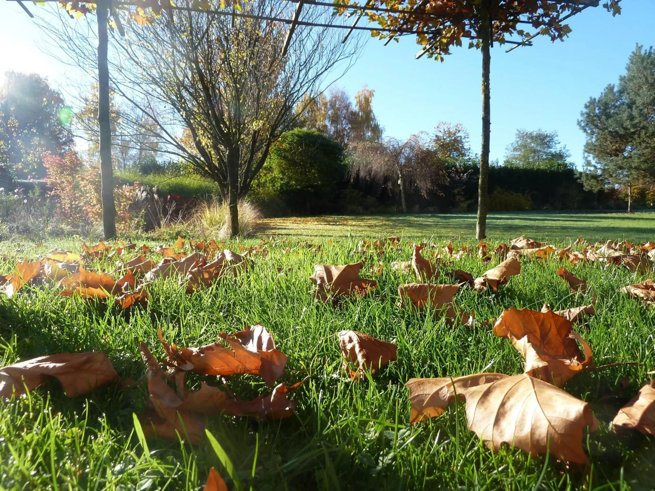 Garden view in La Couette de l'Ours