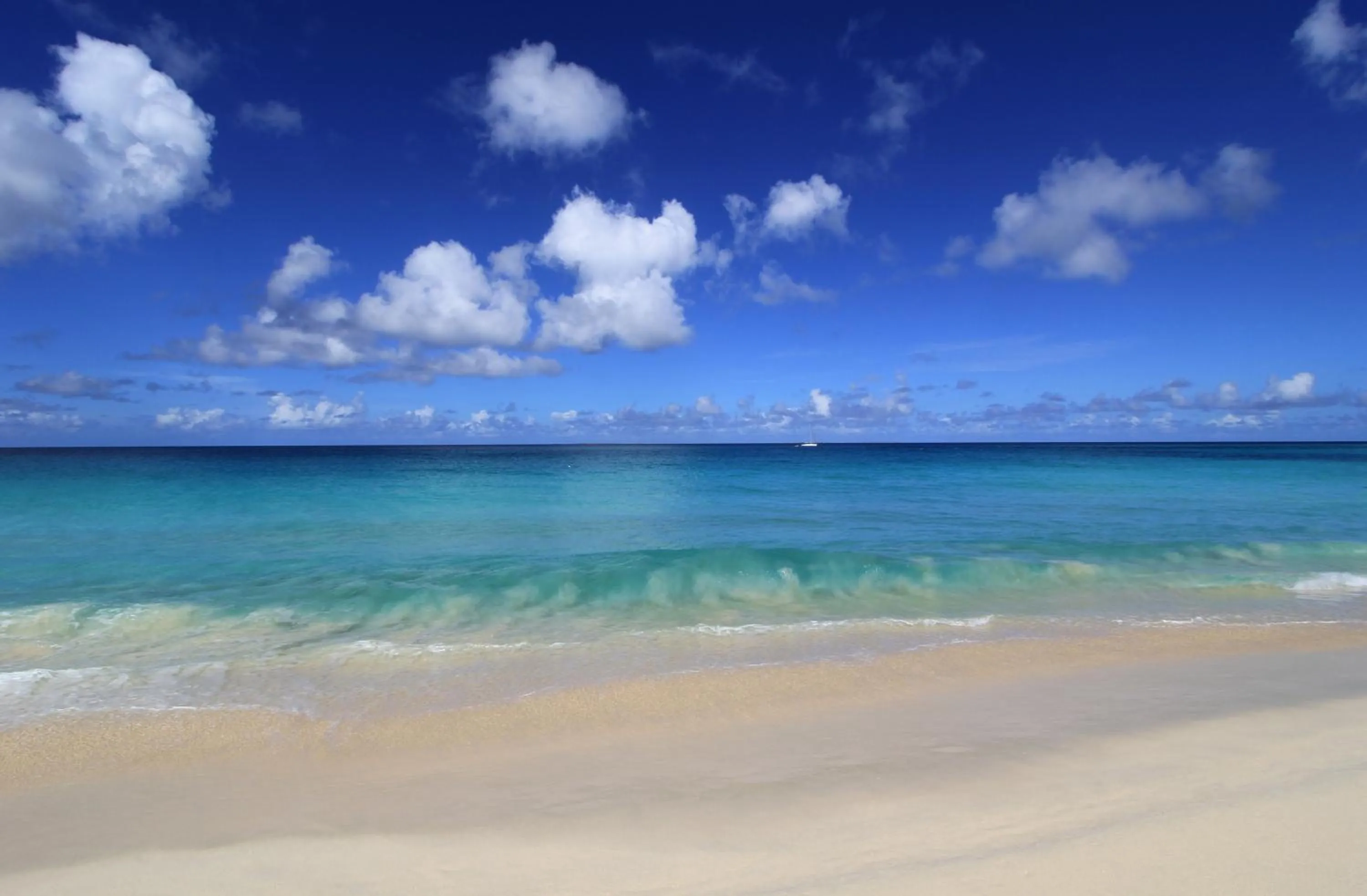 Beach in Carimar Beach Club