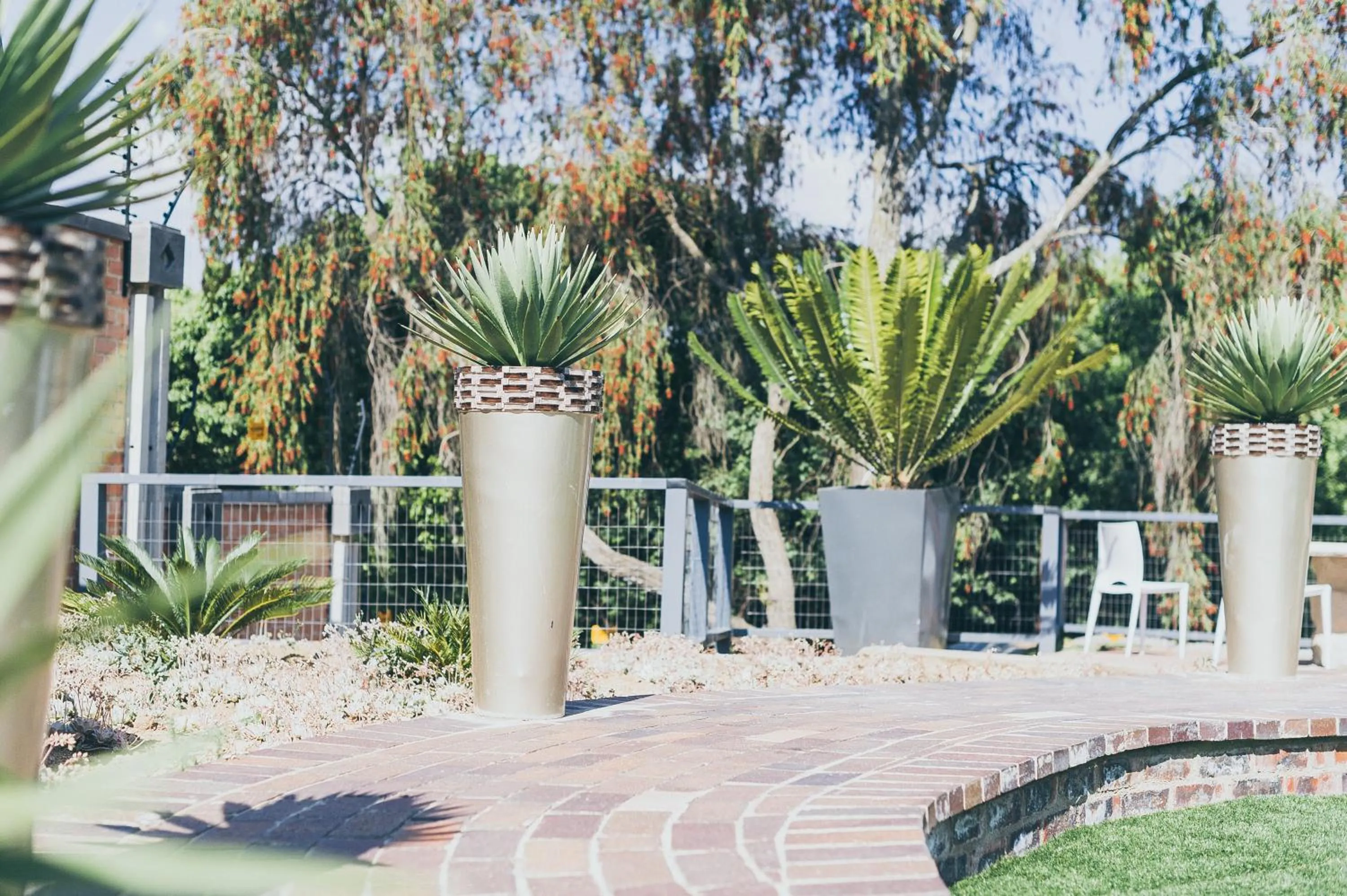 Garden view in B and B Sandton