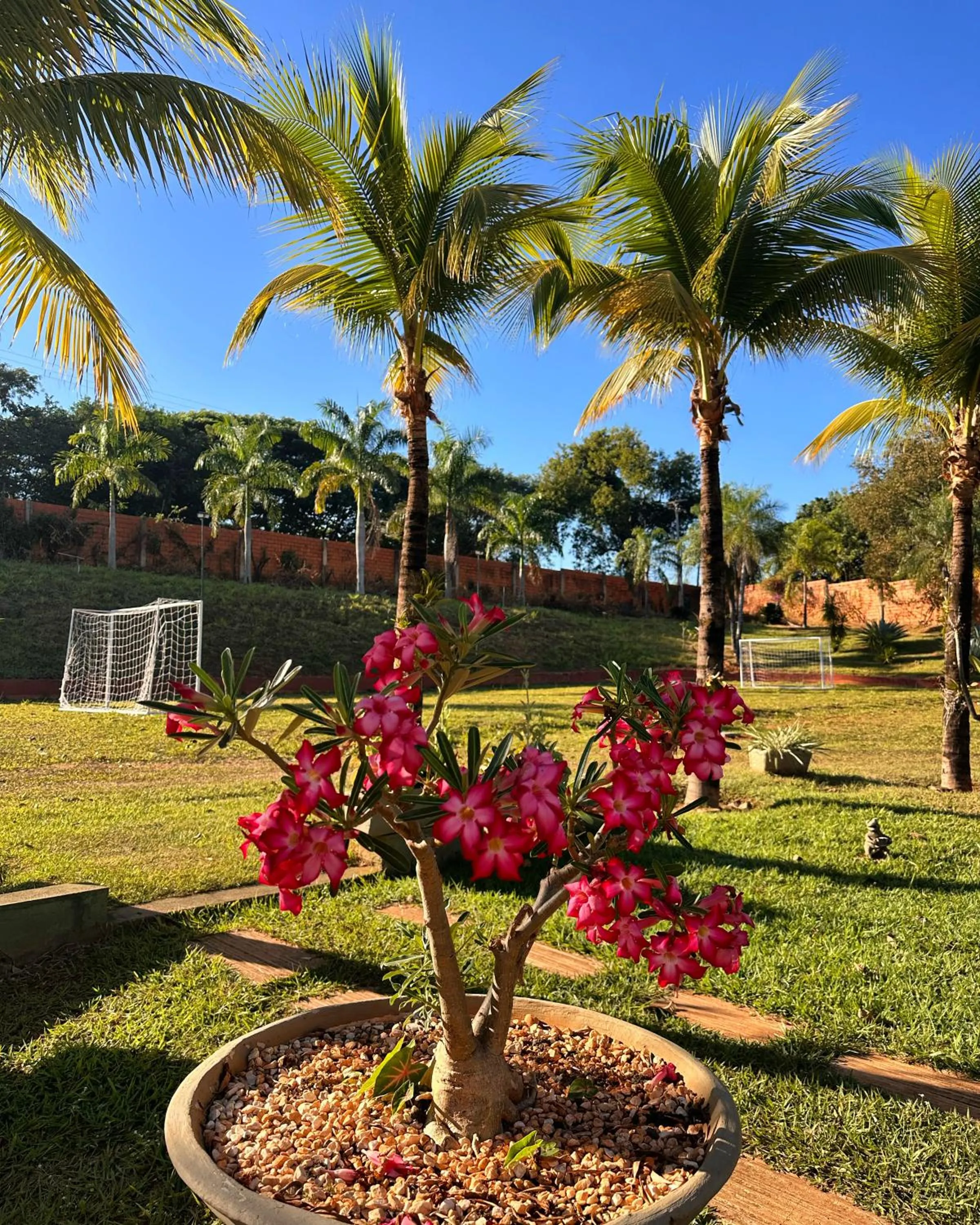 Hotel Pousada Villa Itália Olímpia