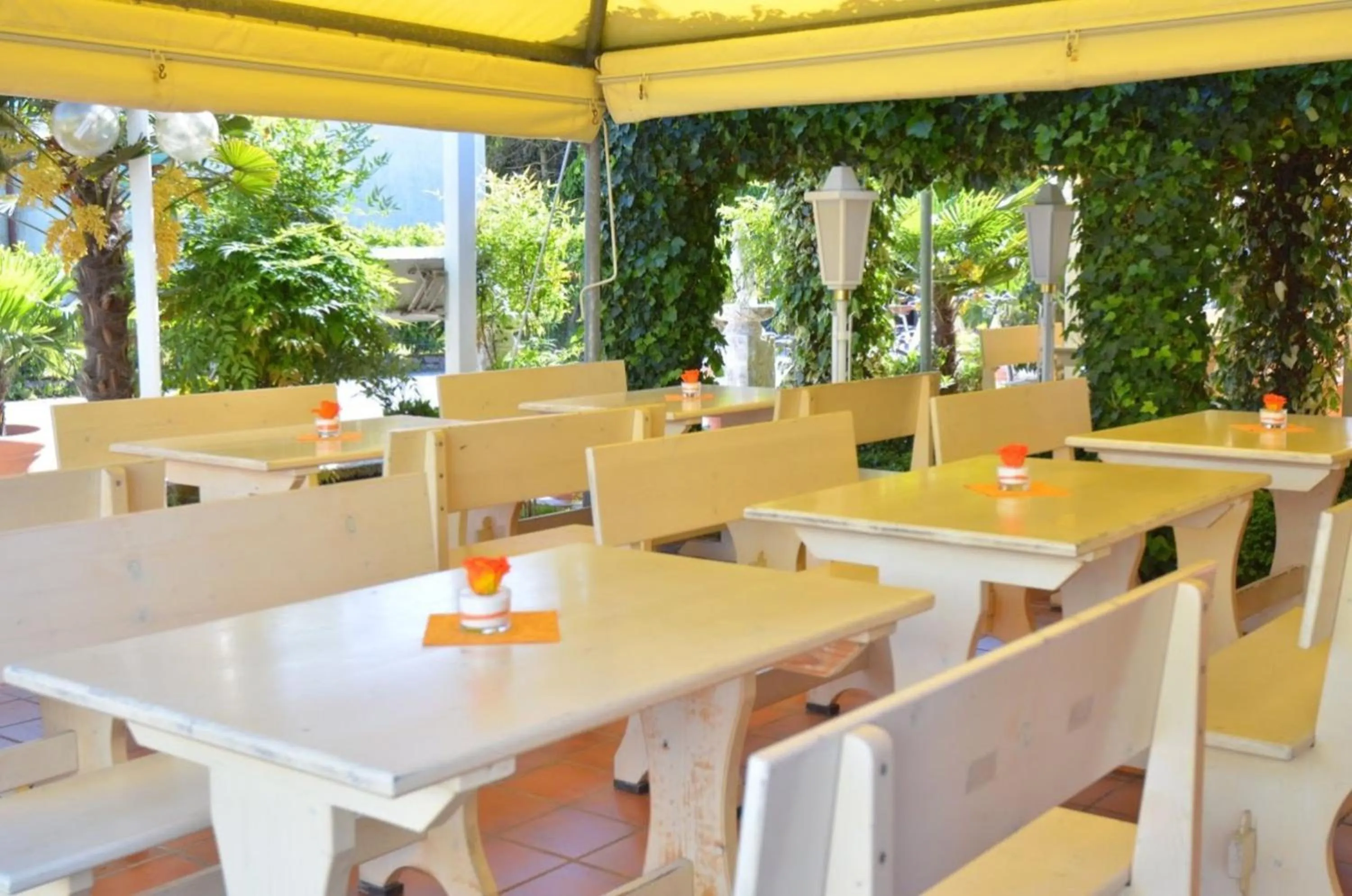 Balcony/Terrace in Hotel Villa Ginevra