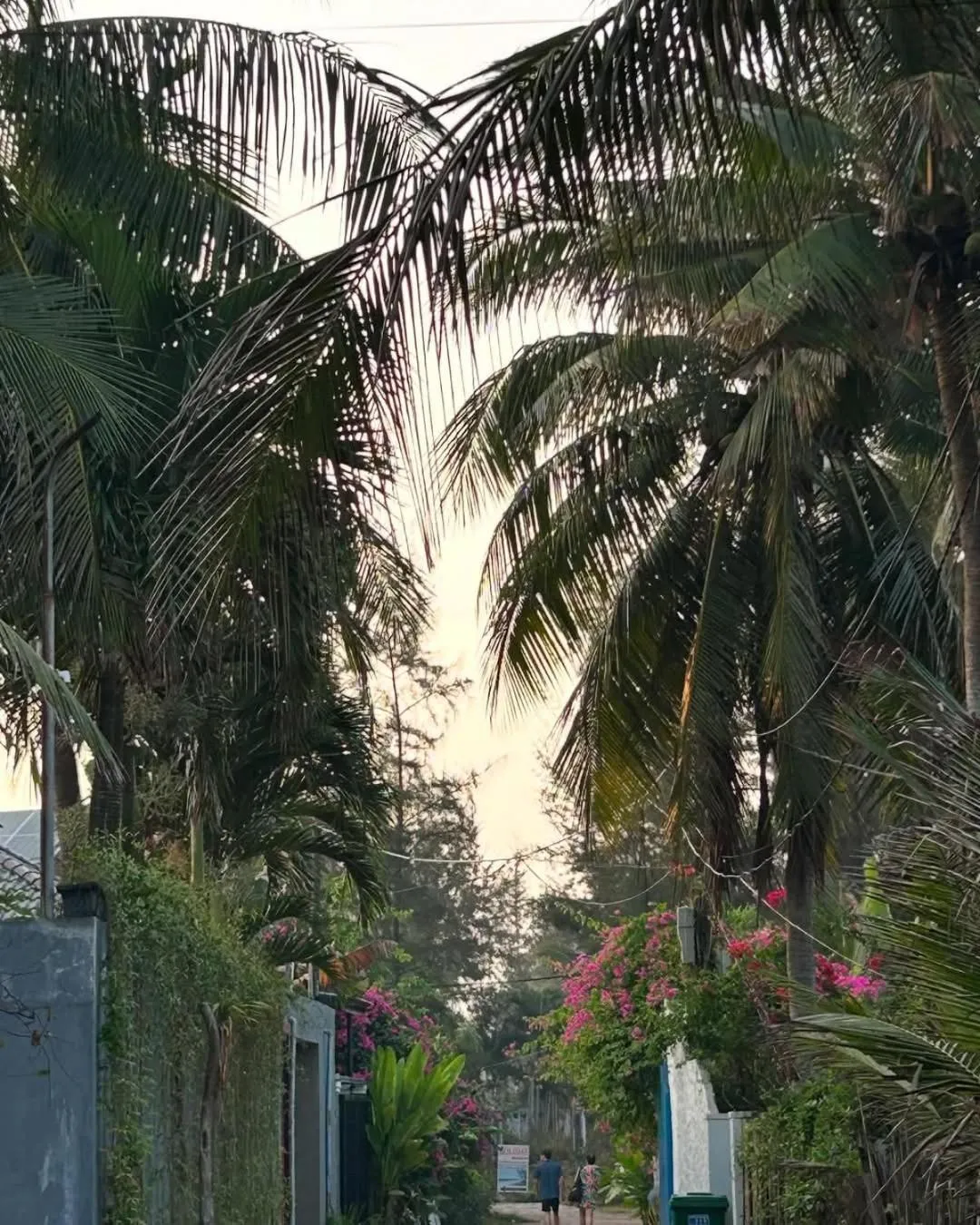 View (from property/room) in Seaside An Bang Homestay