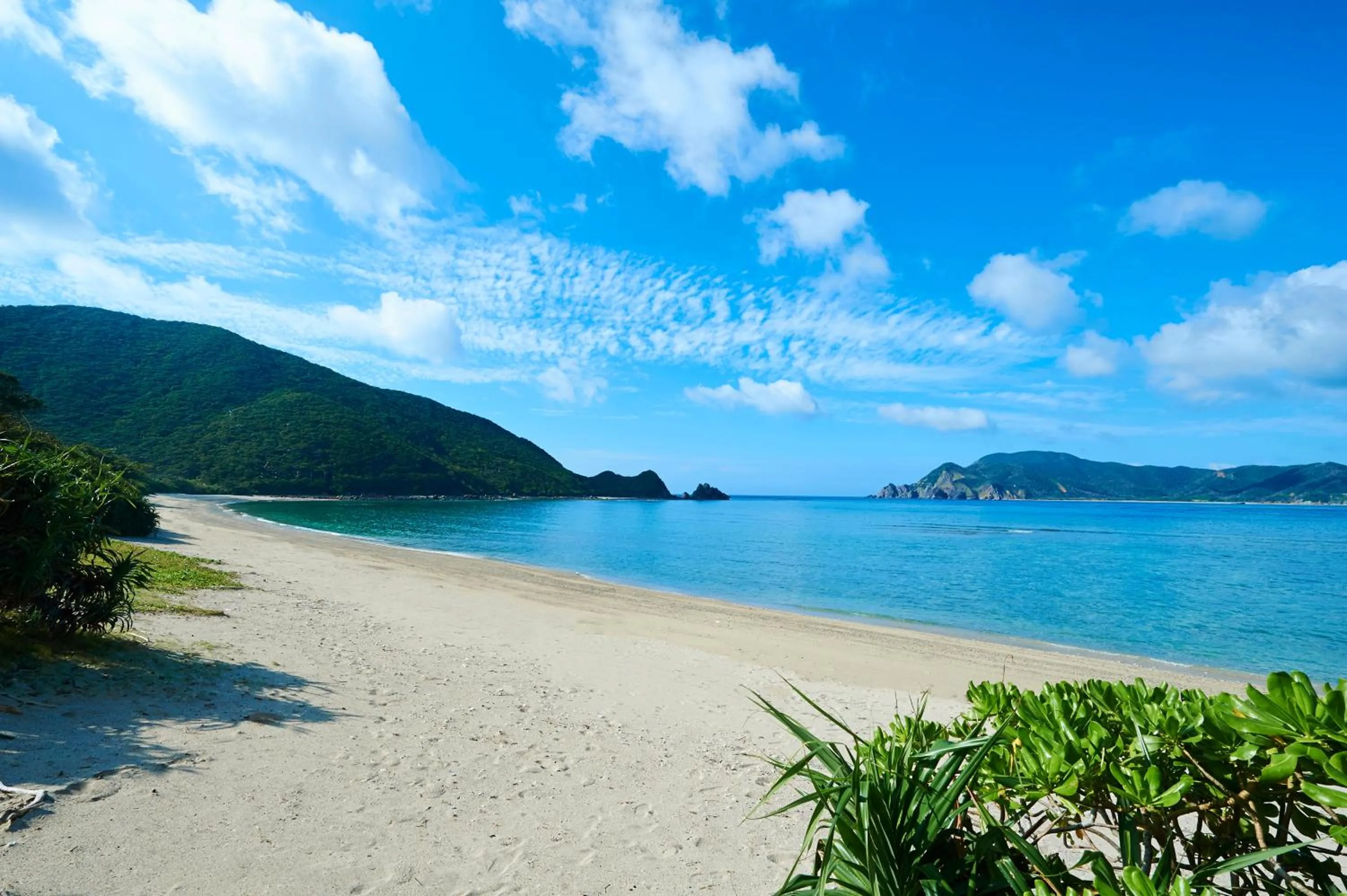 Beach in Hotel The Scene