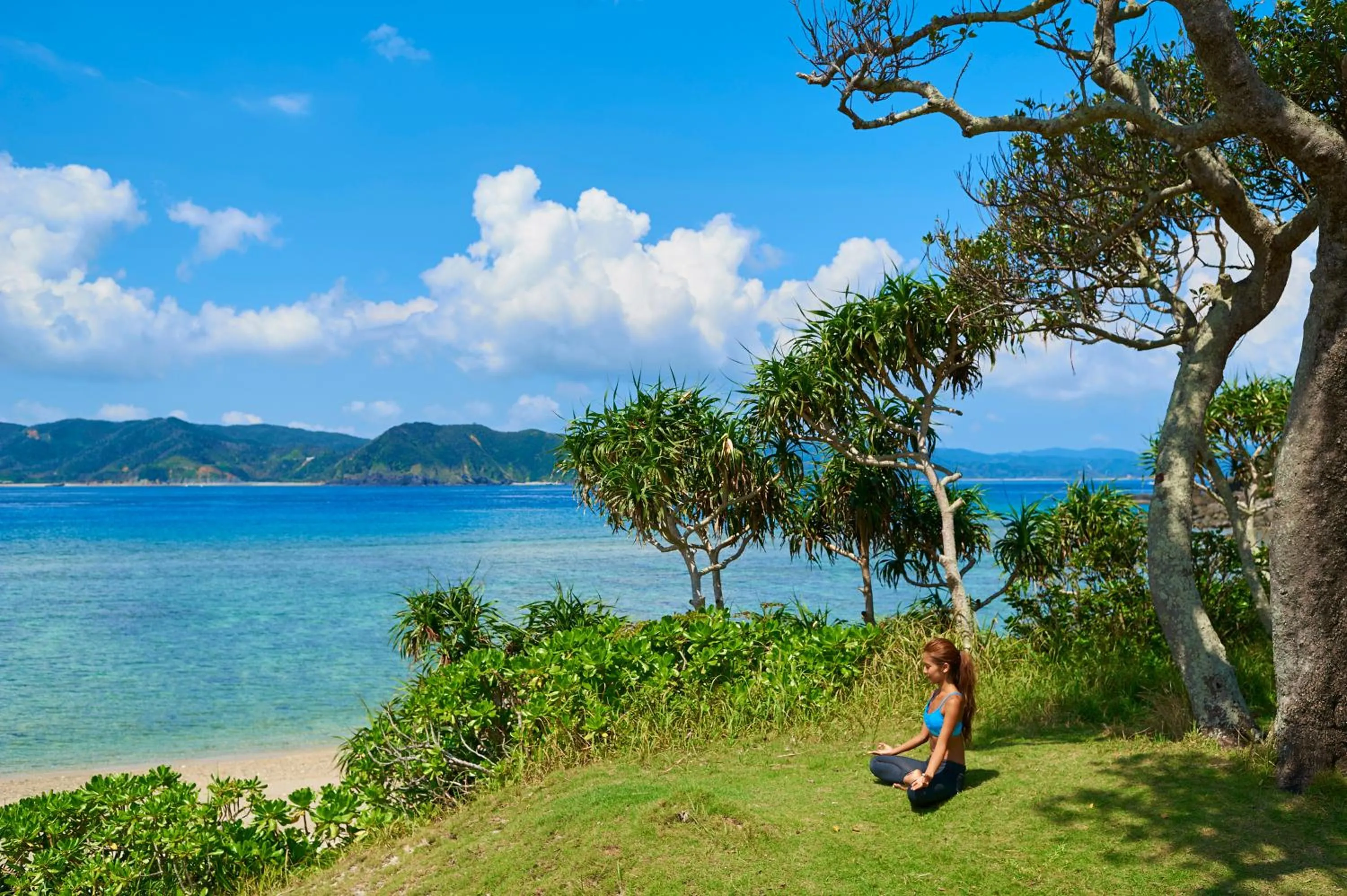 Day in Hotel The Scene