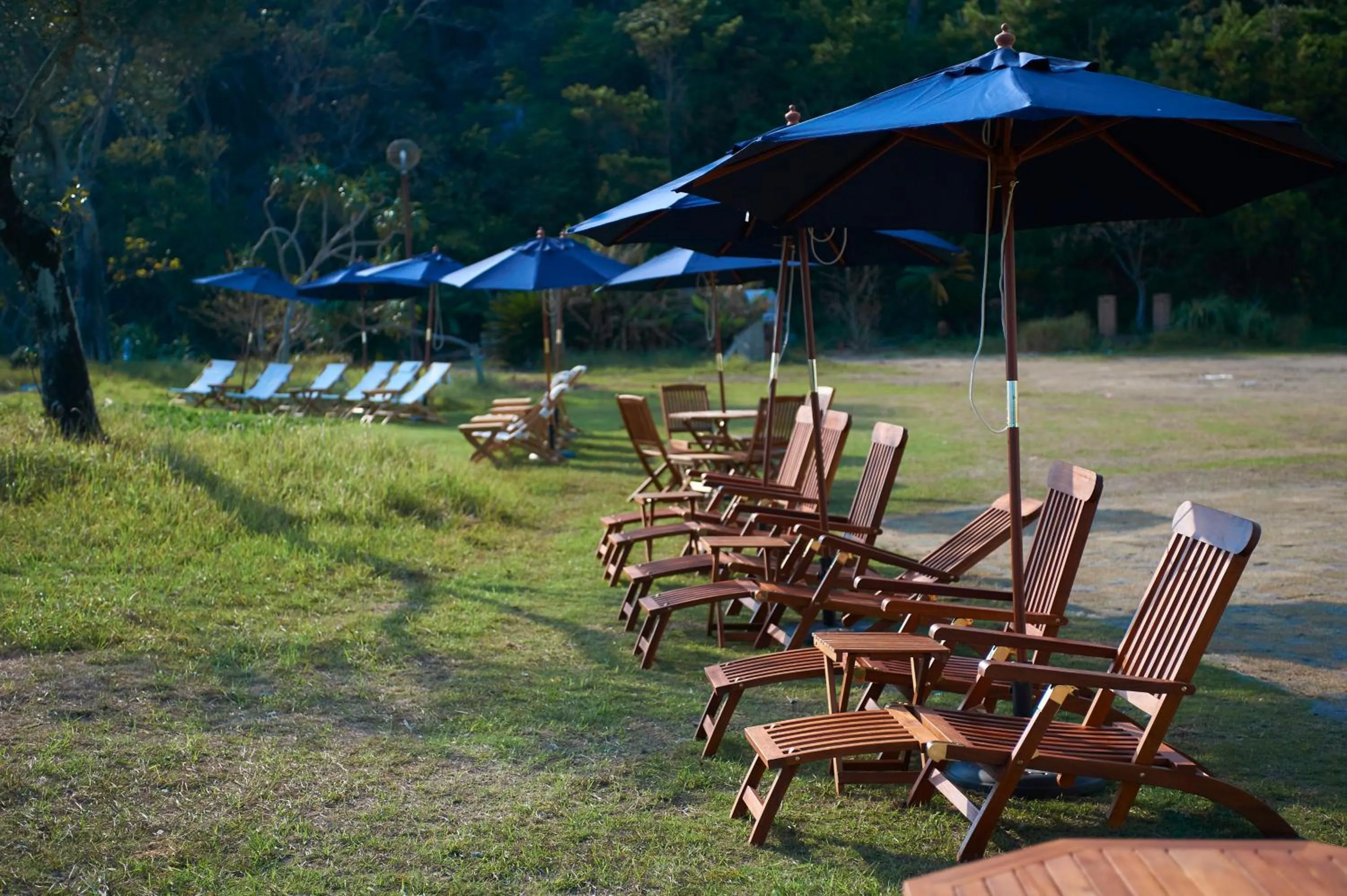 Day in Hotel The Scene