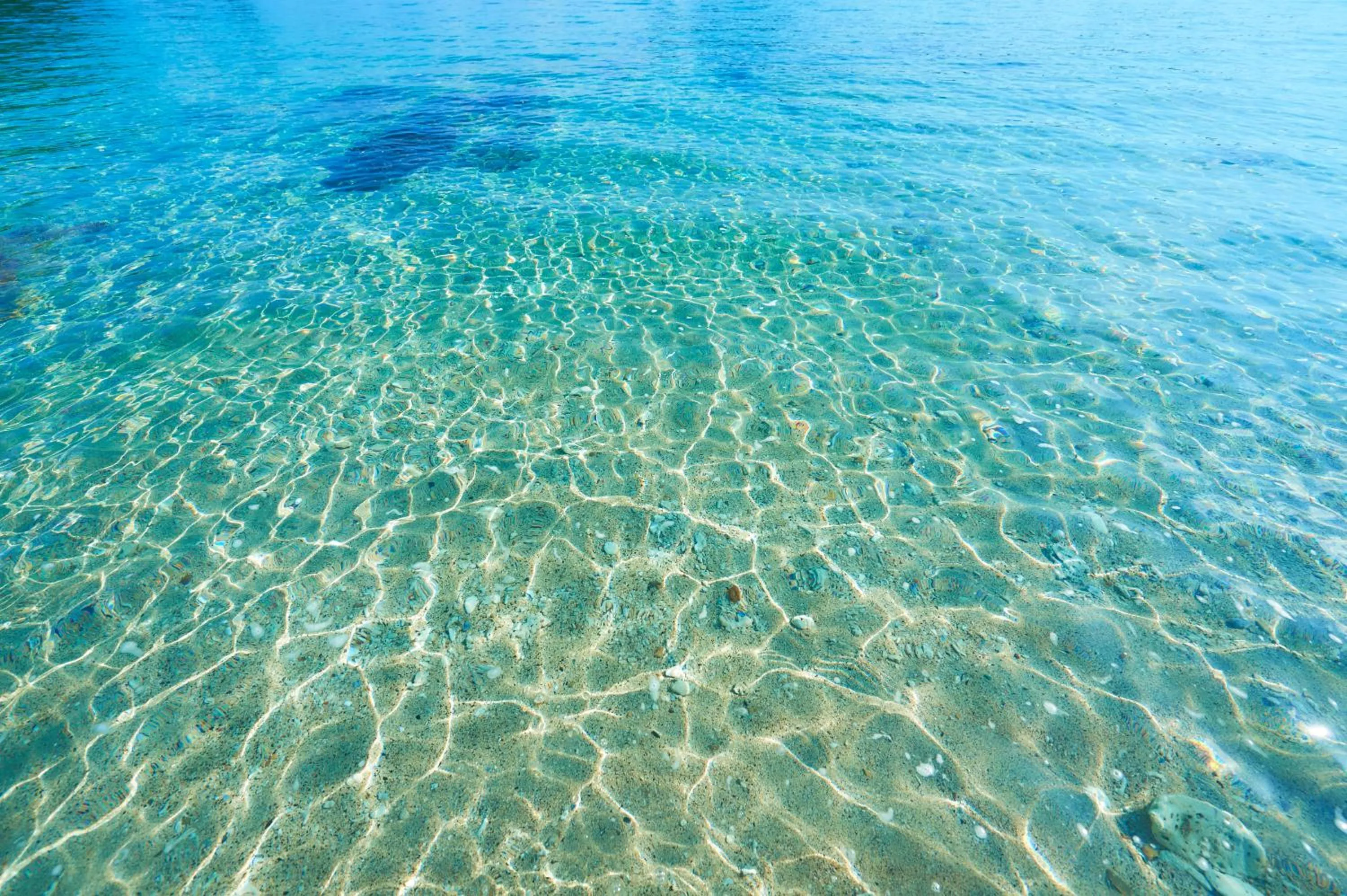 Day in Hotel The Scene